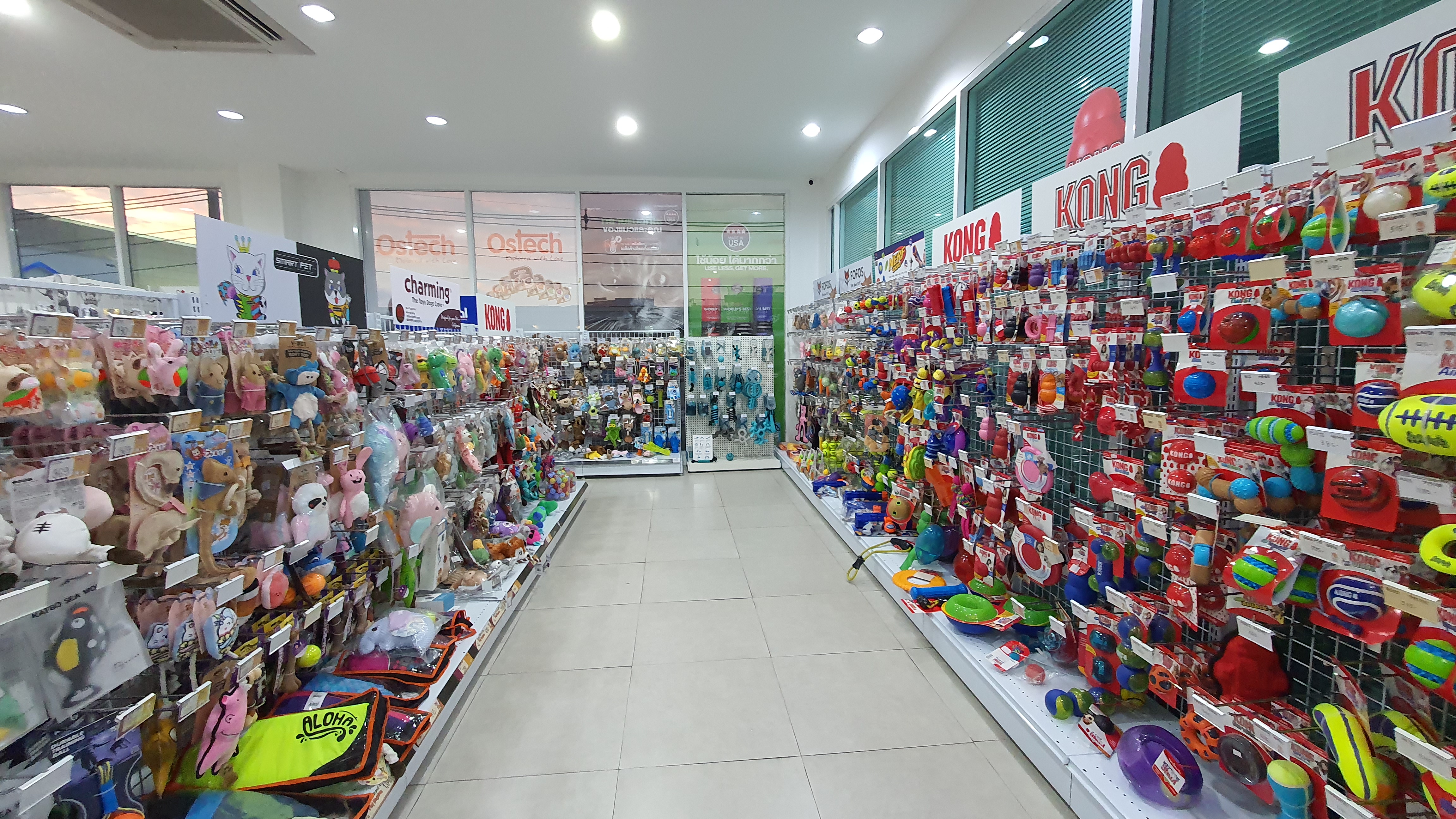 PET KINGDOM