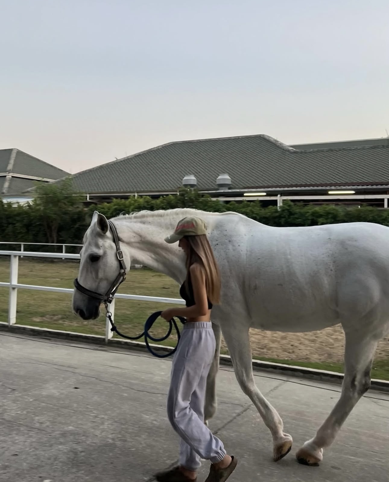 SC Equestrian Club