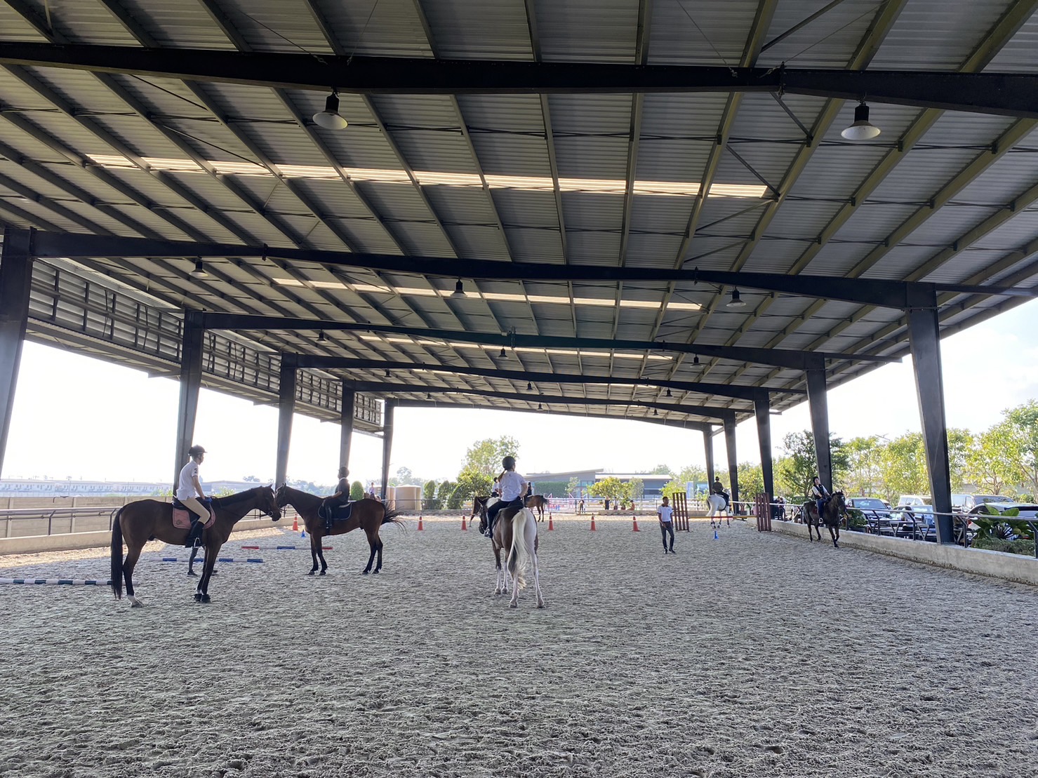 Checkmate Horse Club