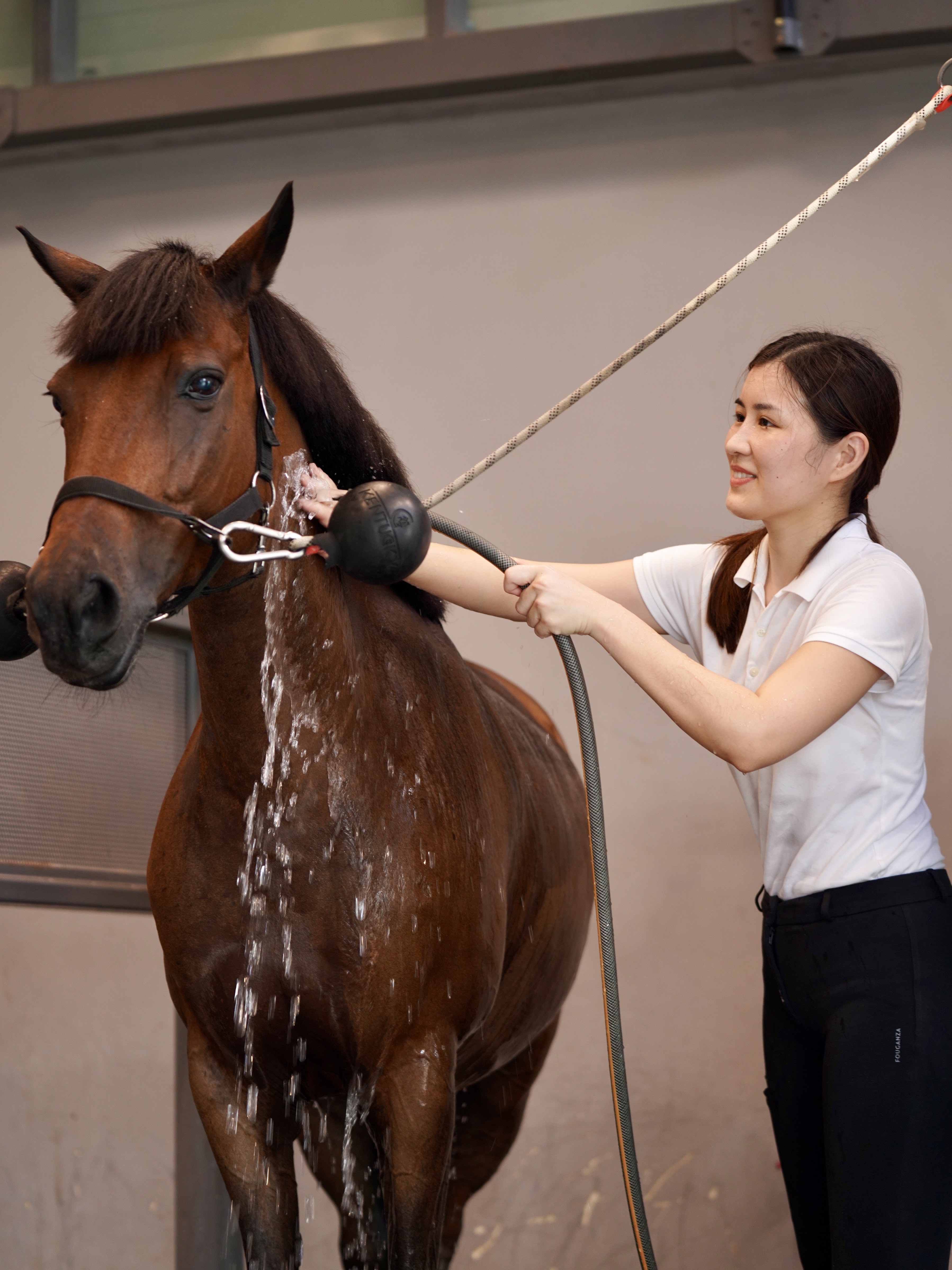 Harmonia Stables