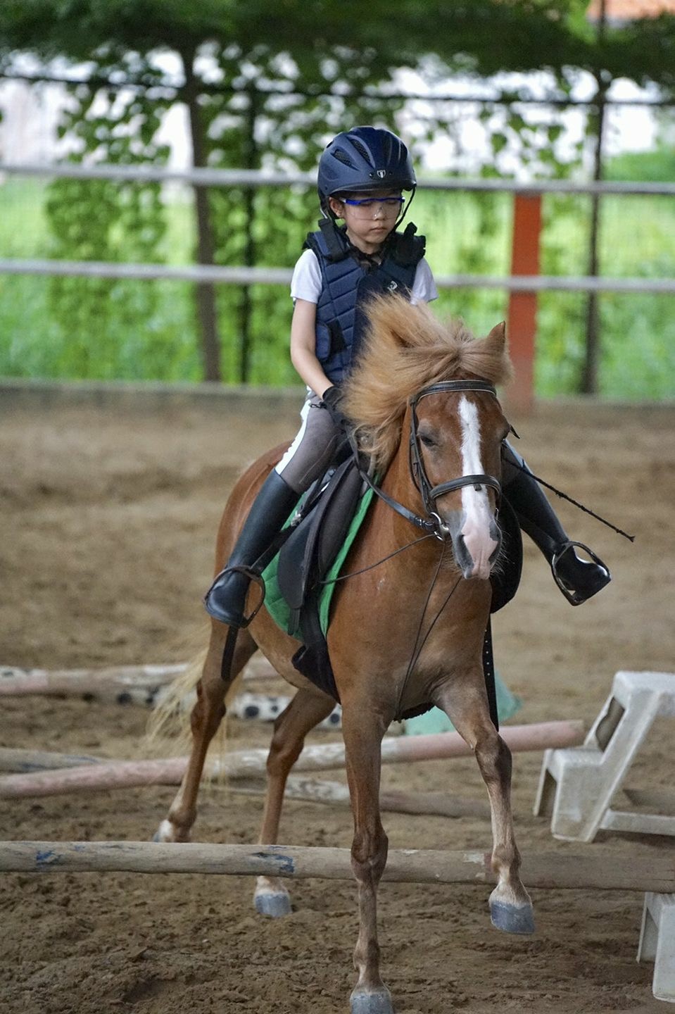 Little Bit Horse Club