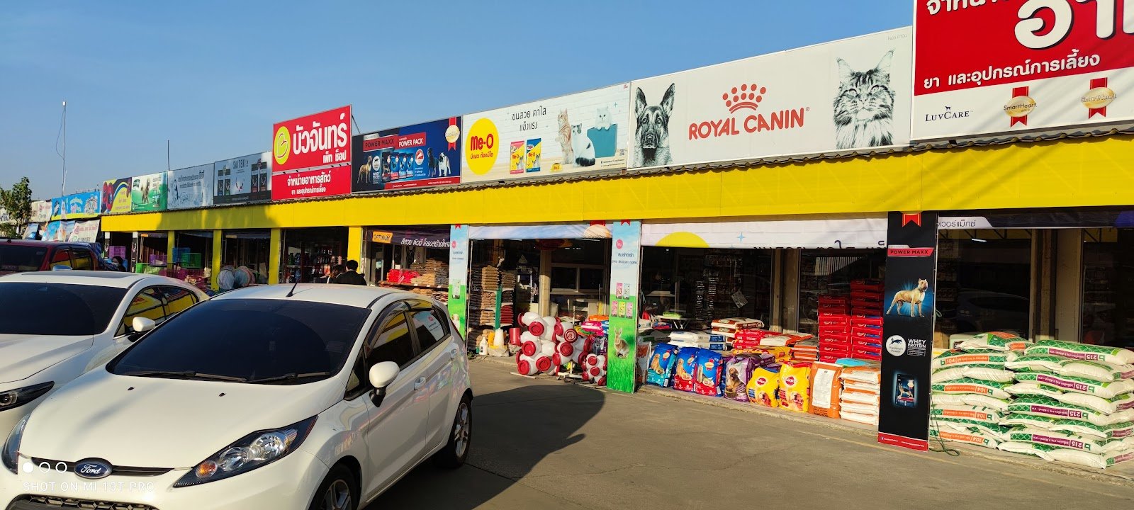 Pet Market