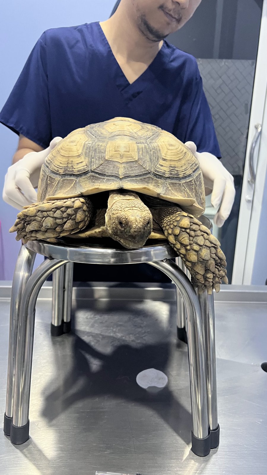 Pet Planet Clinic