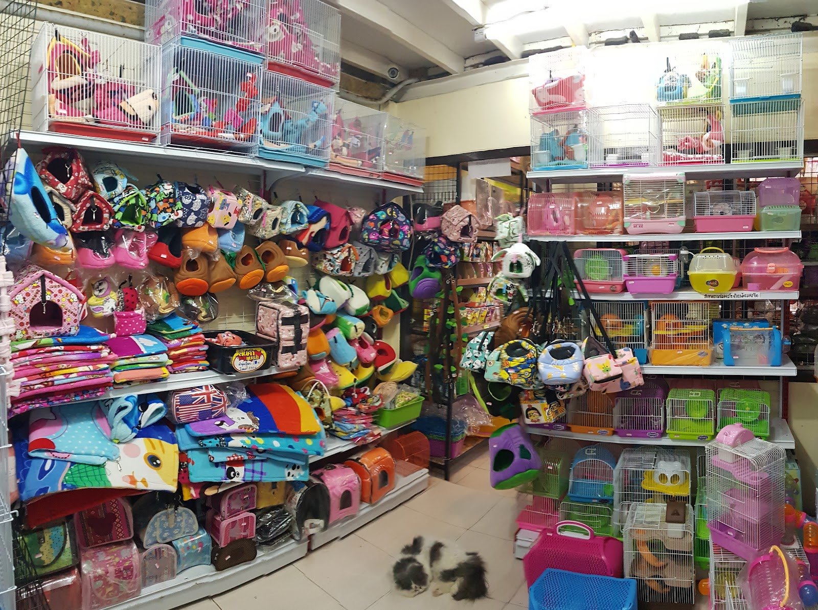 Candy Pet Shop