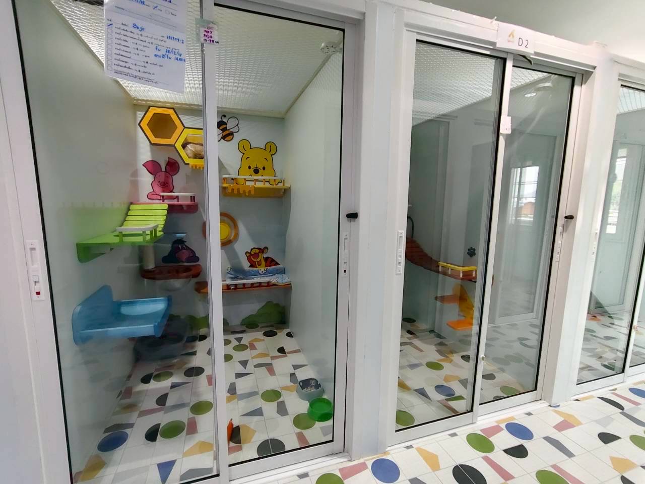 Cat Hotel and Grooming