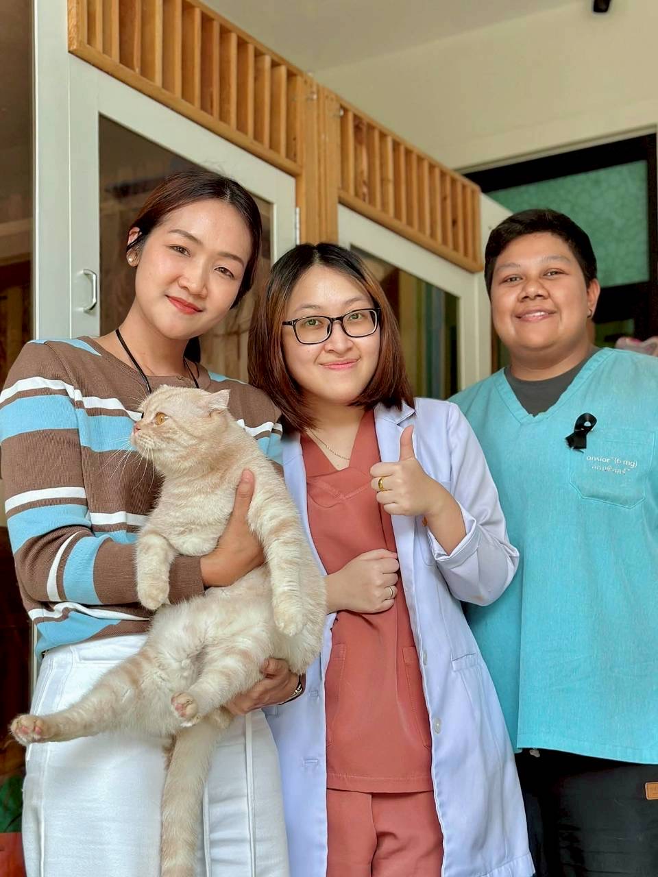 Cat Hotel and Grooming