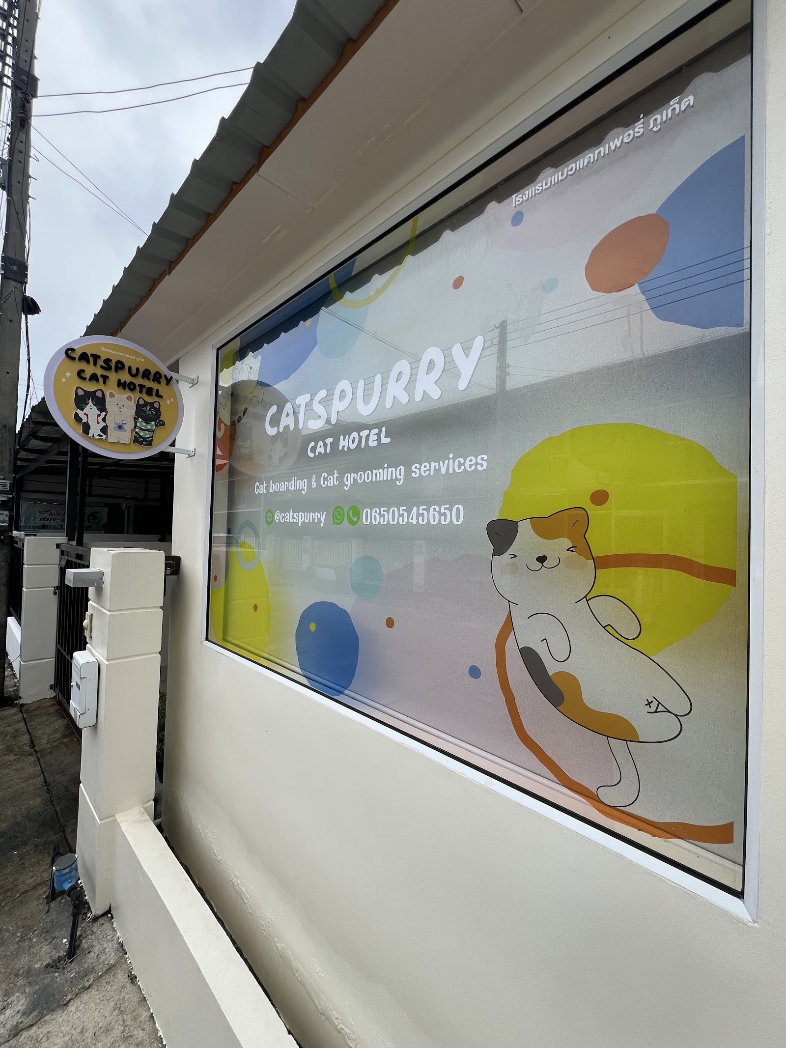 Catspurry Cat Hotel & Cat Grooming Phuket