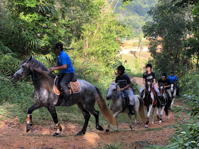 Chalong Horseback Riding