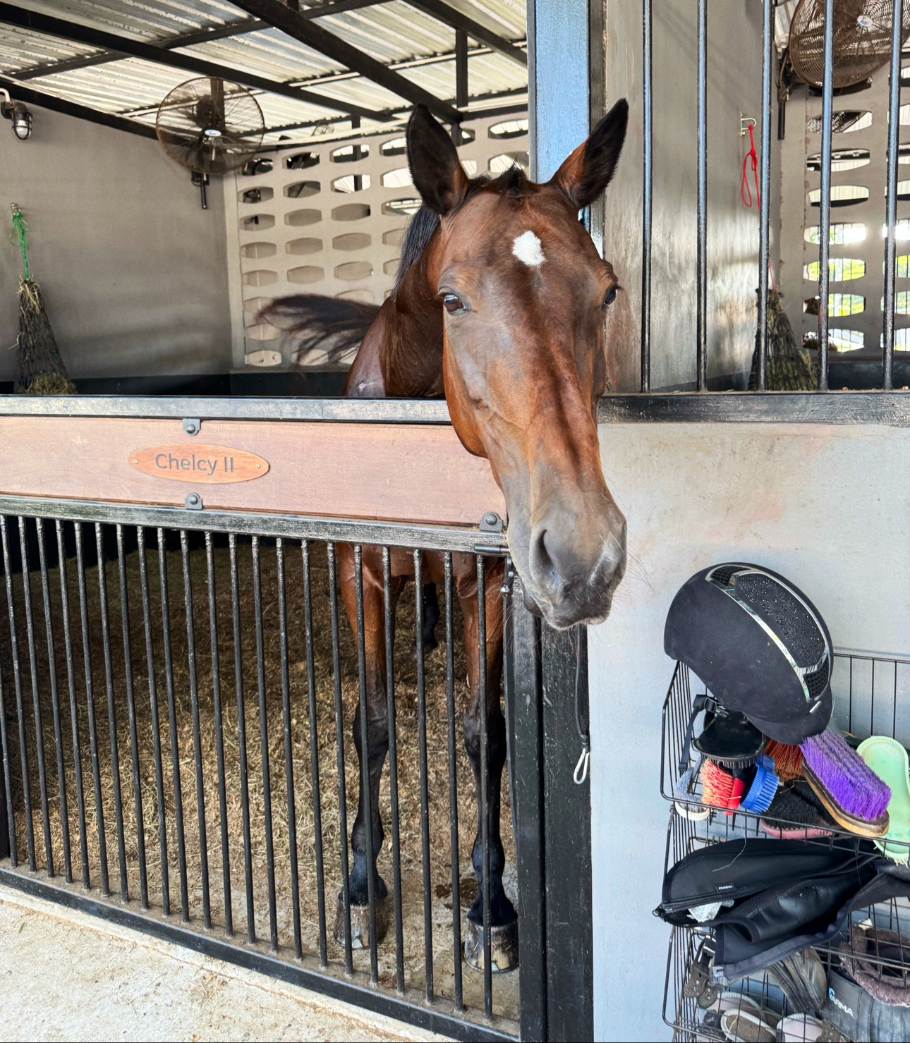 Horse Jumping Academy