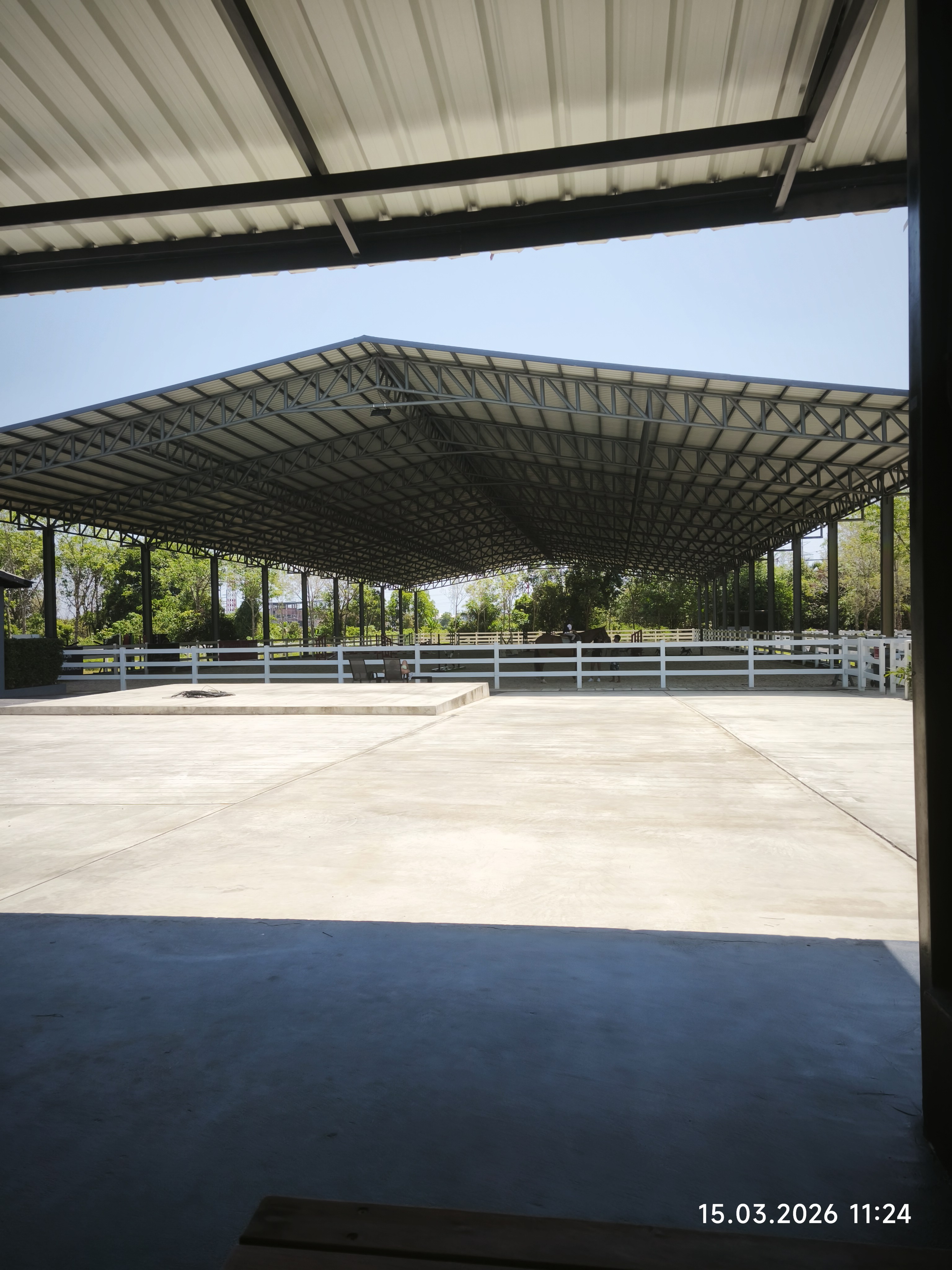Horse Jumping Academy