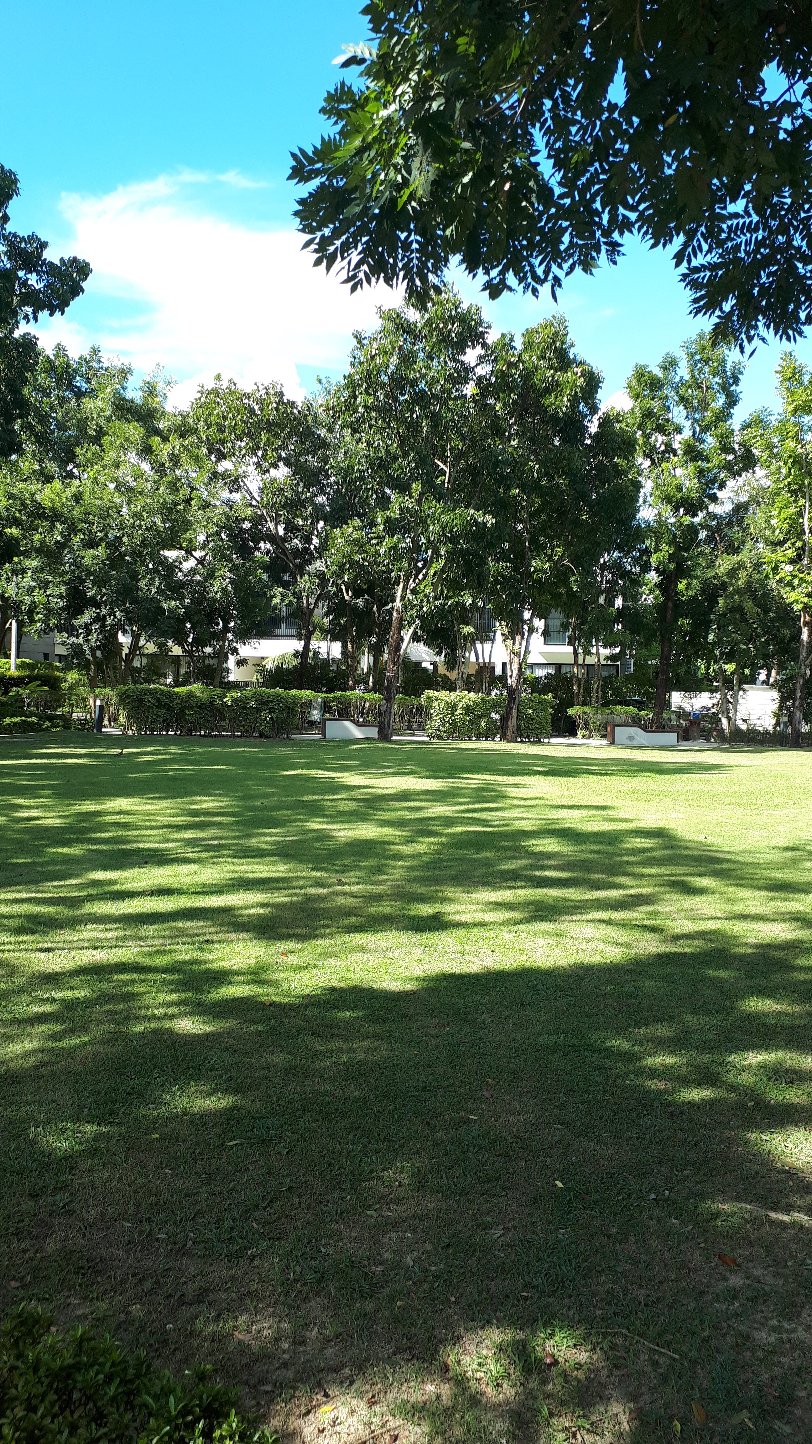 Laguna Park