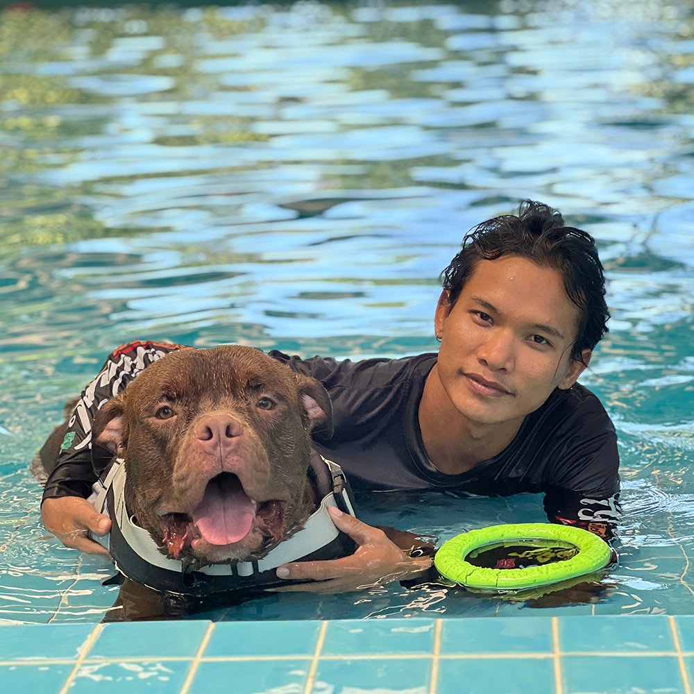 Phuket Dog School & Hotel