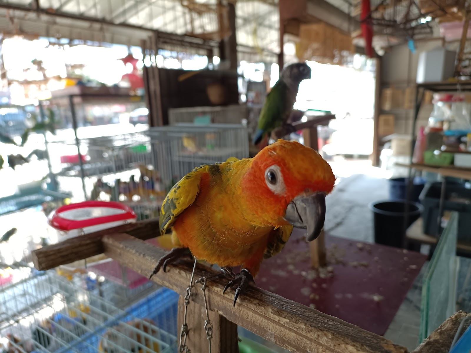 Phuket Farm & Aquarium