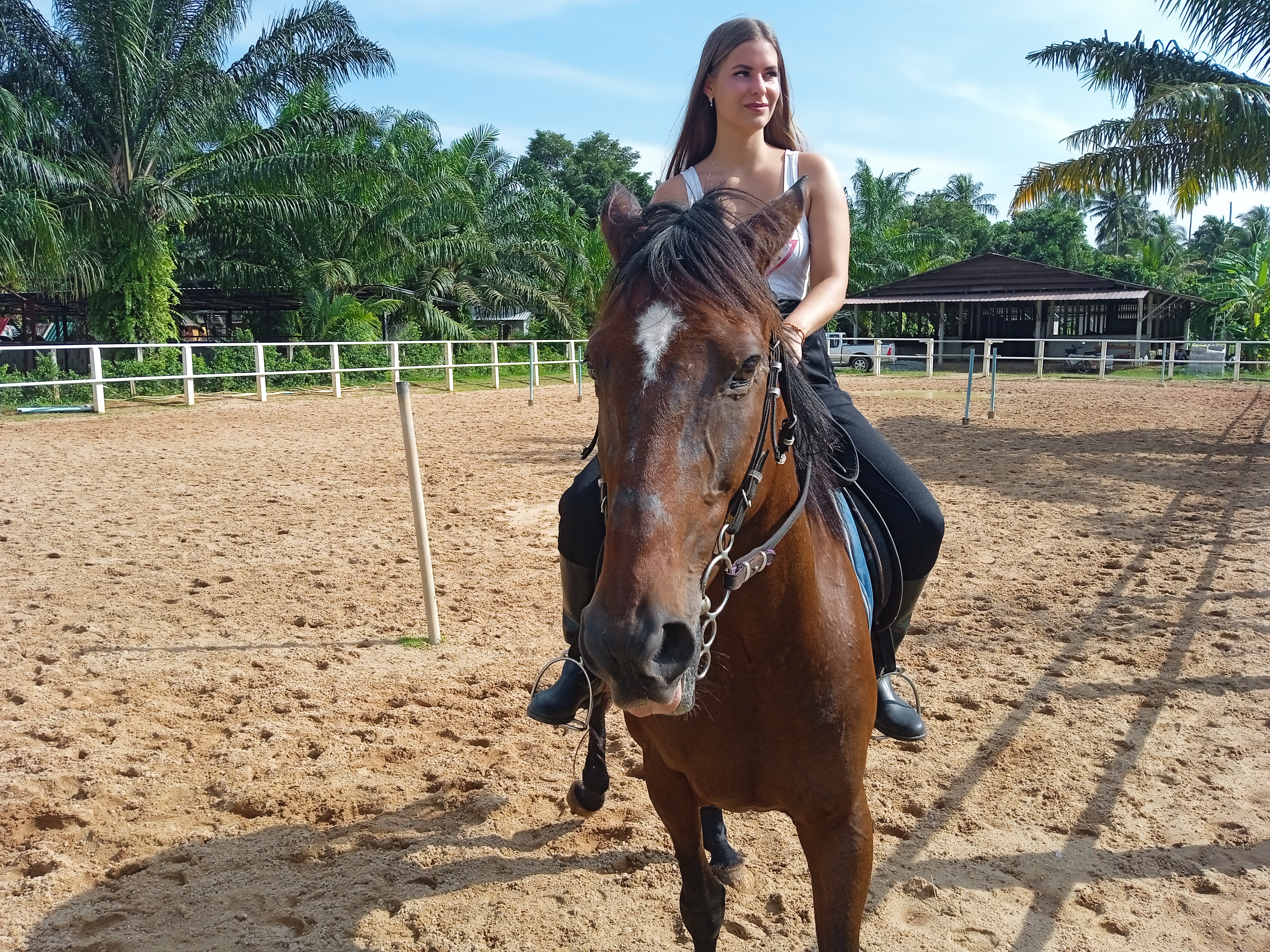Phuket Riding Club