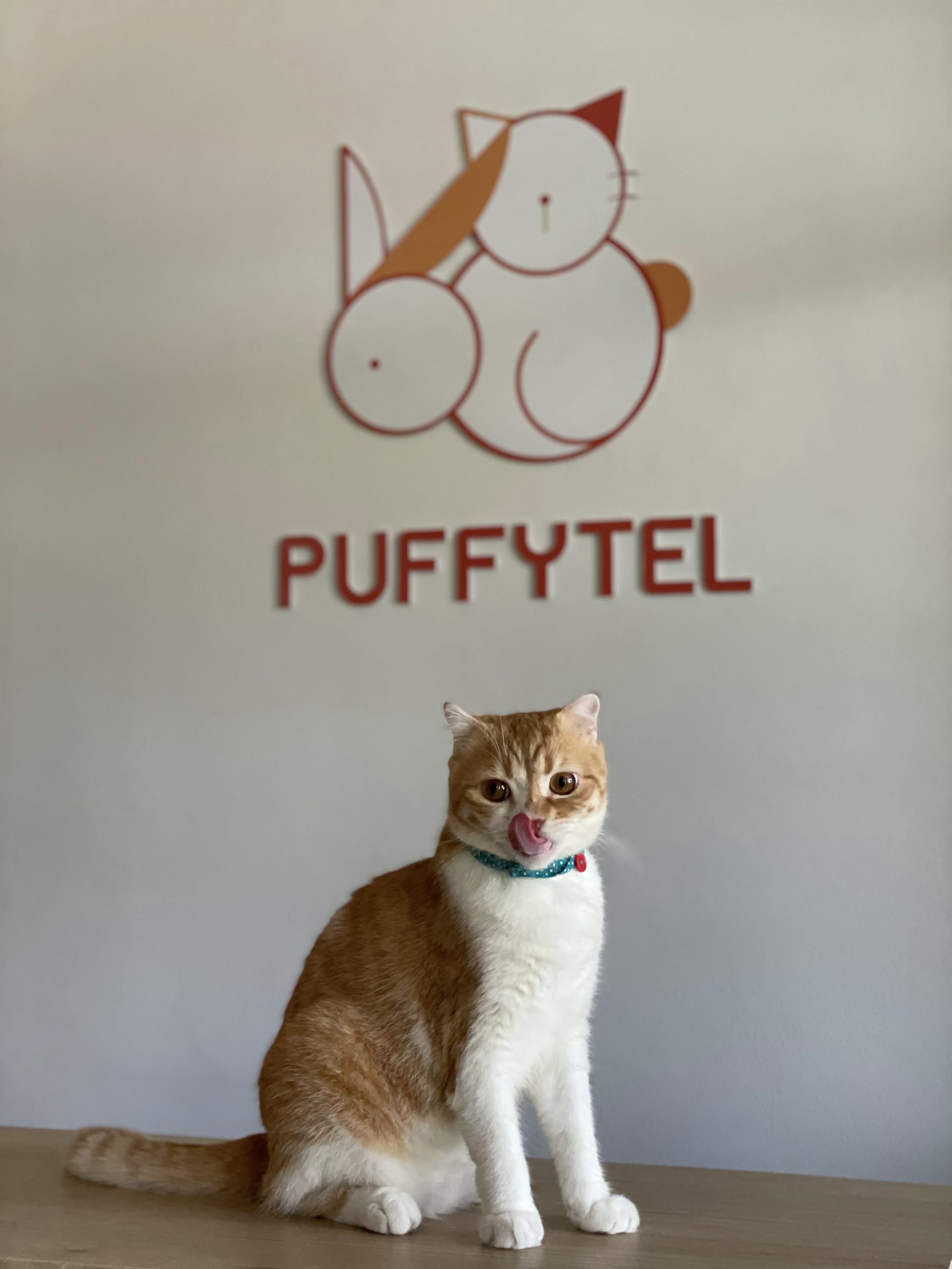 Puffytel Pet Hotel