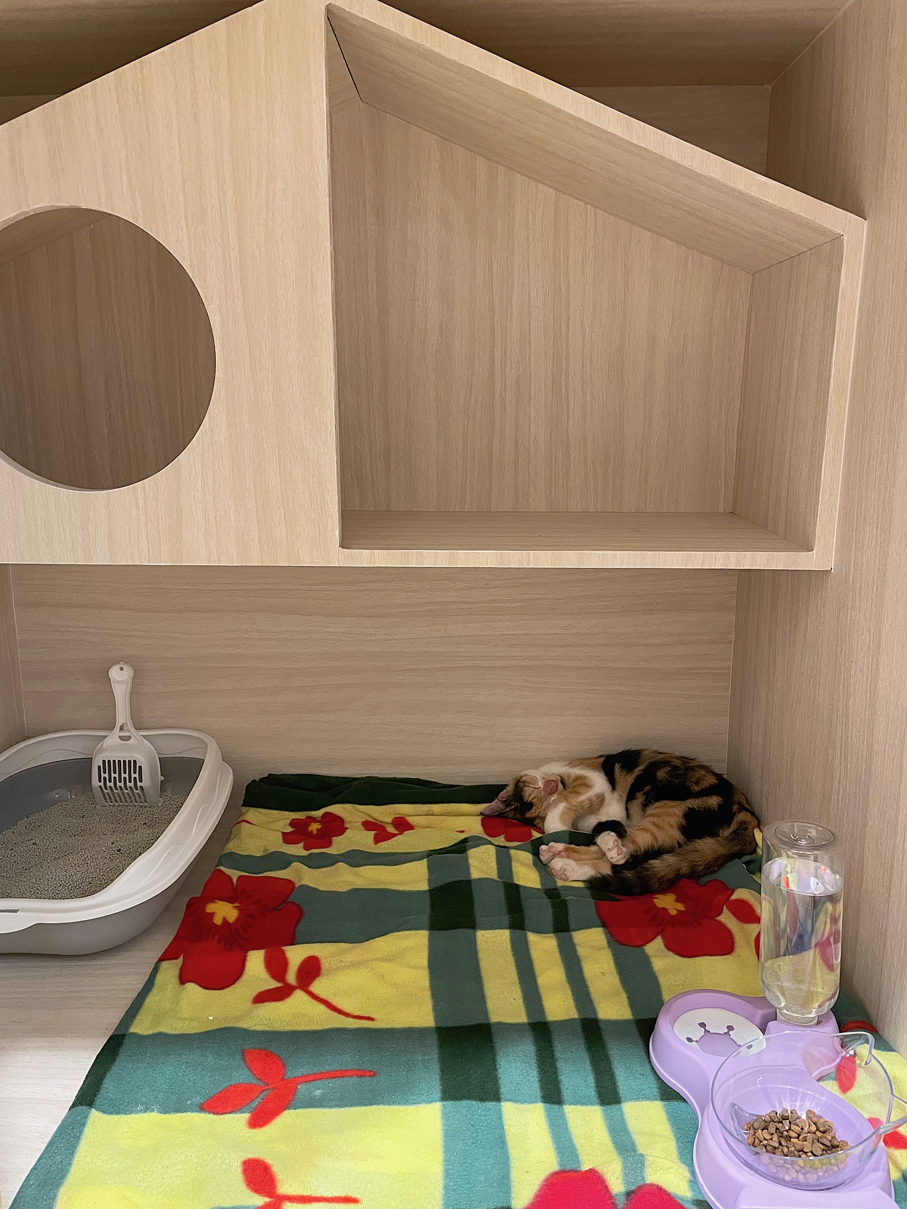 Puffytel Pet Hotel