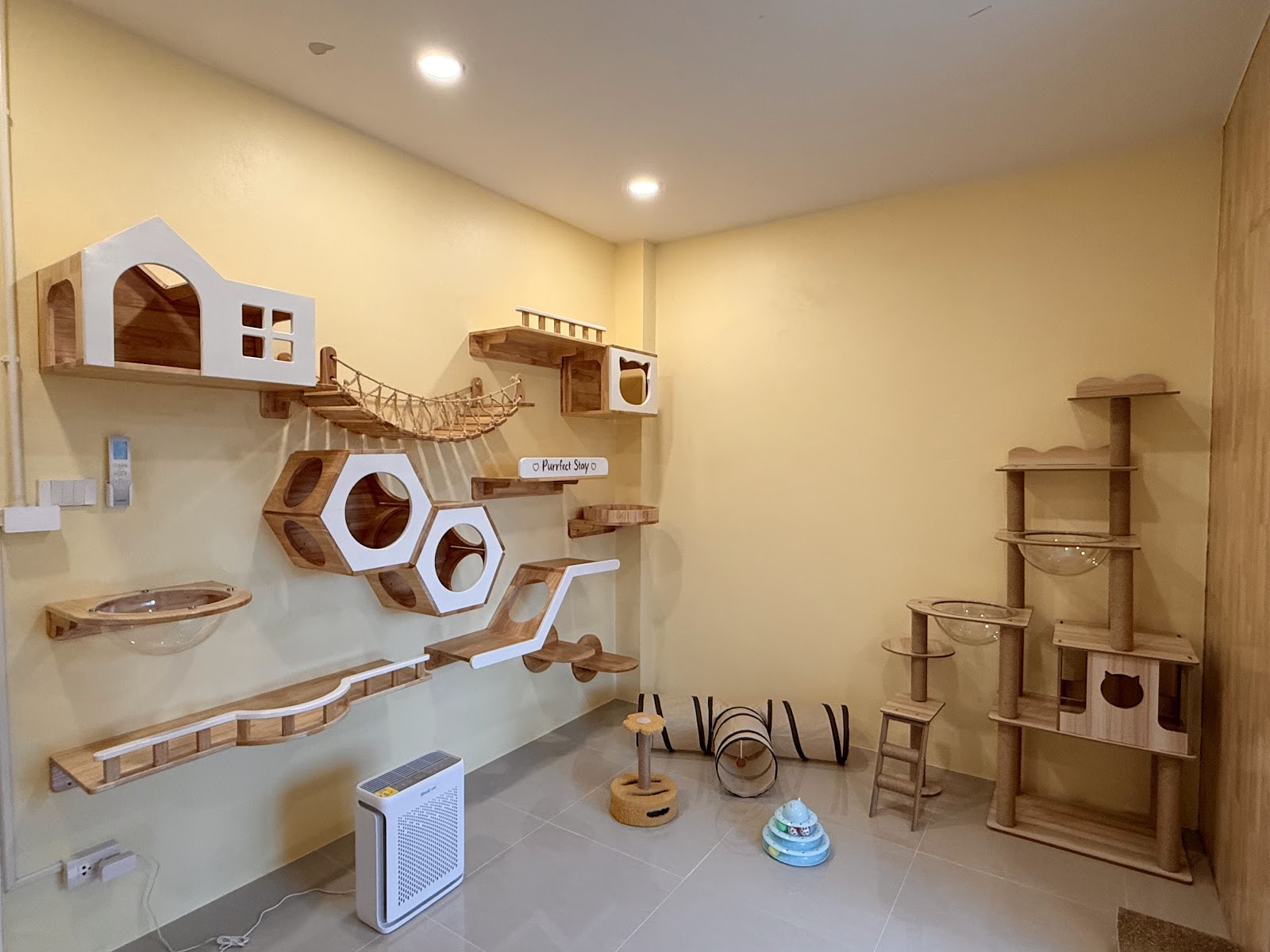 Purrfect Stay Cat Hotel Phuket