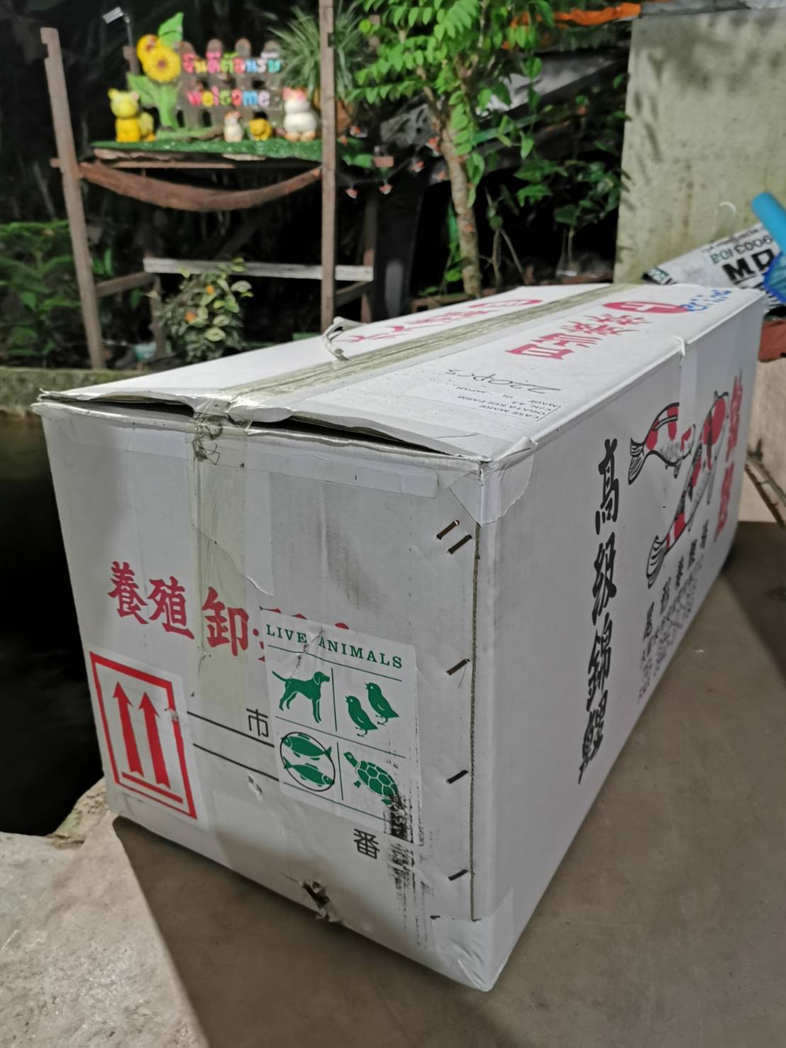 AirKoiHouse