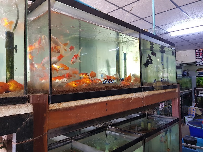 Kabinburi Aquarium