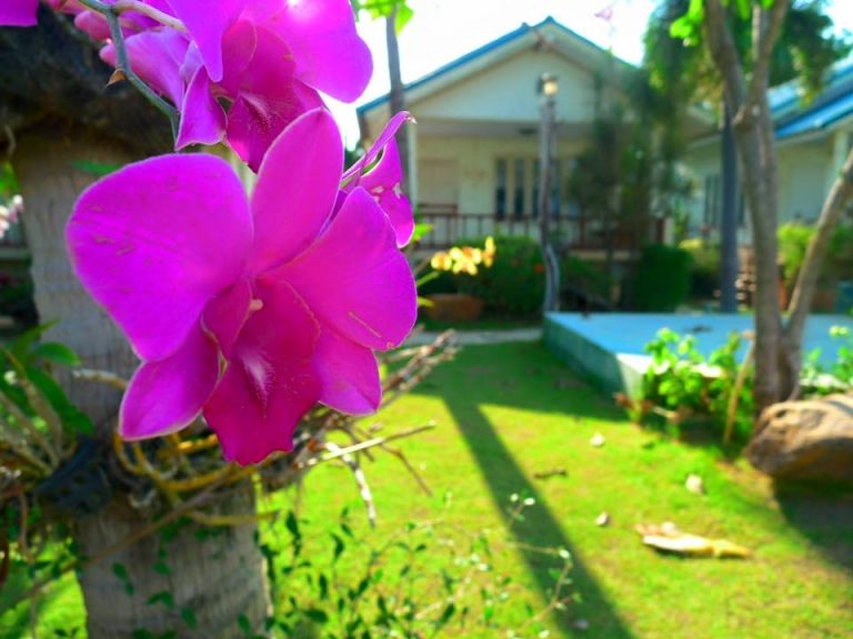 Imsook Resort Pranburi
