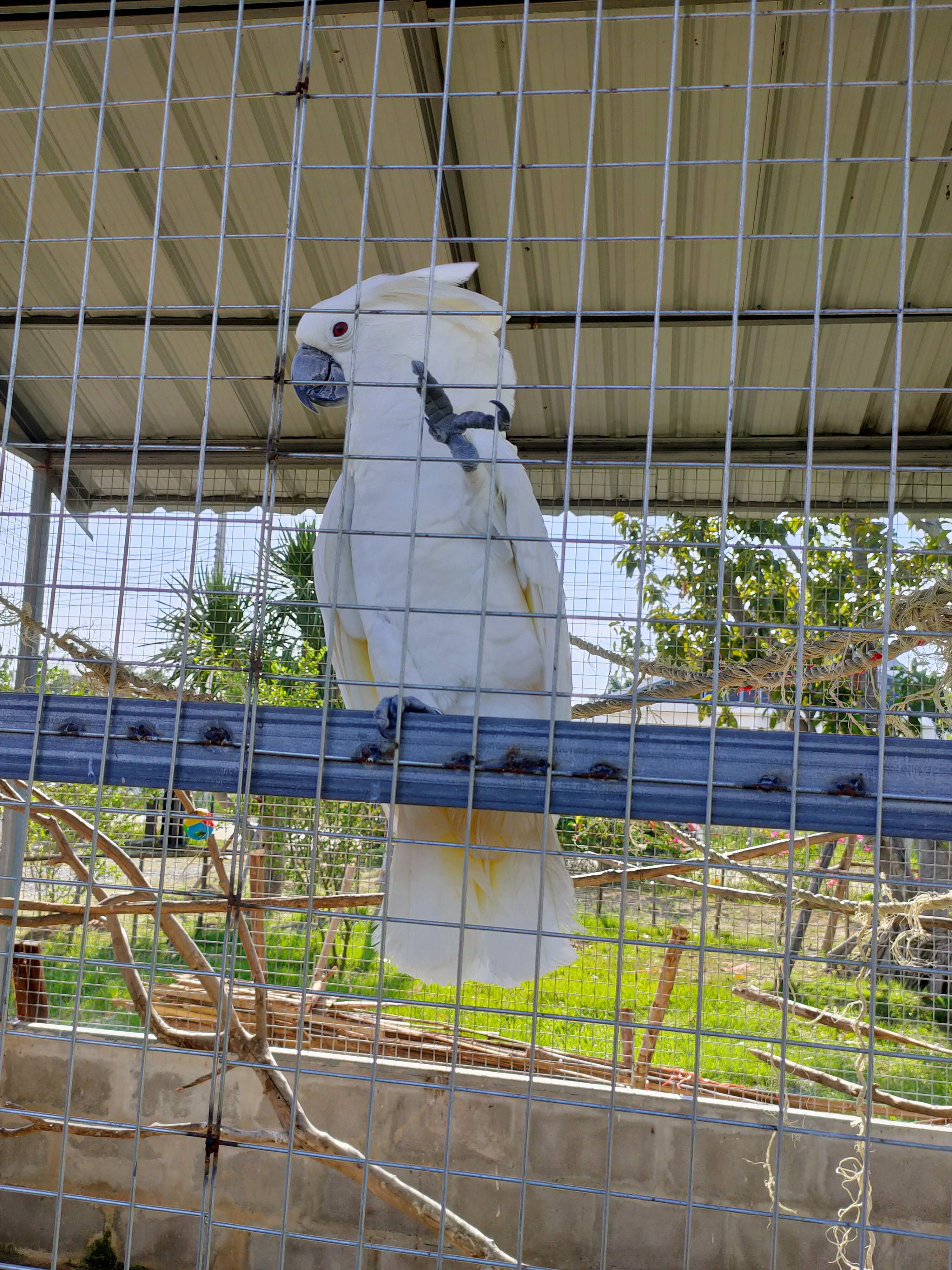 Parrotdise Organic Farm & Cafe