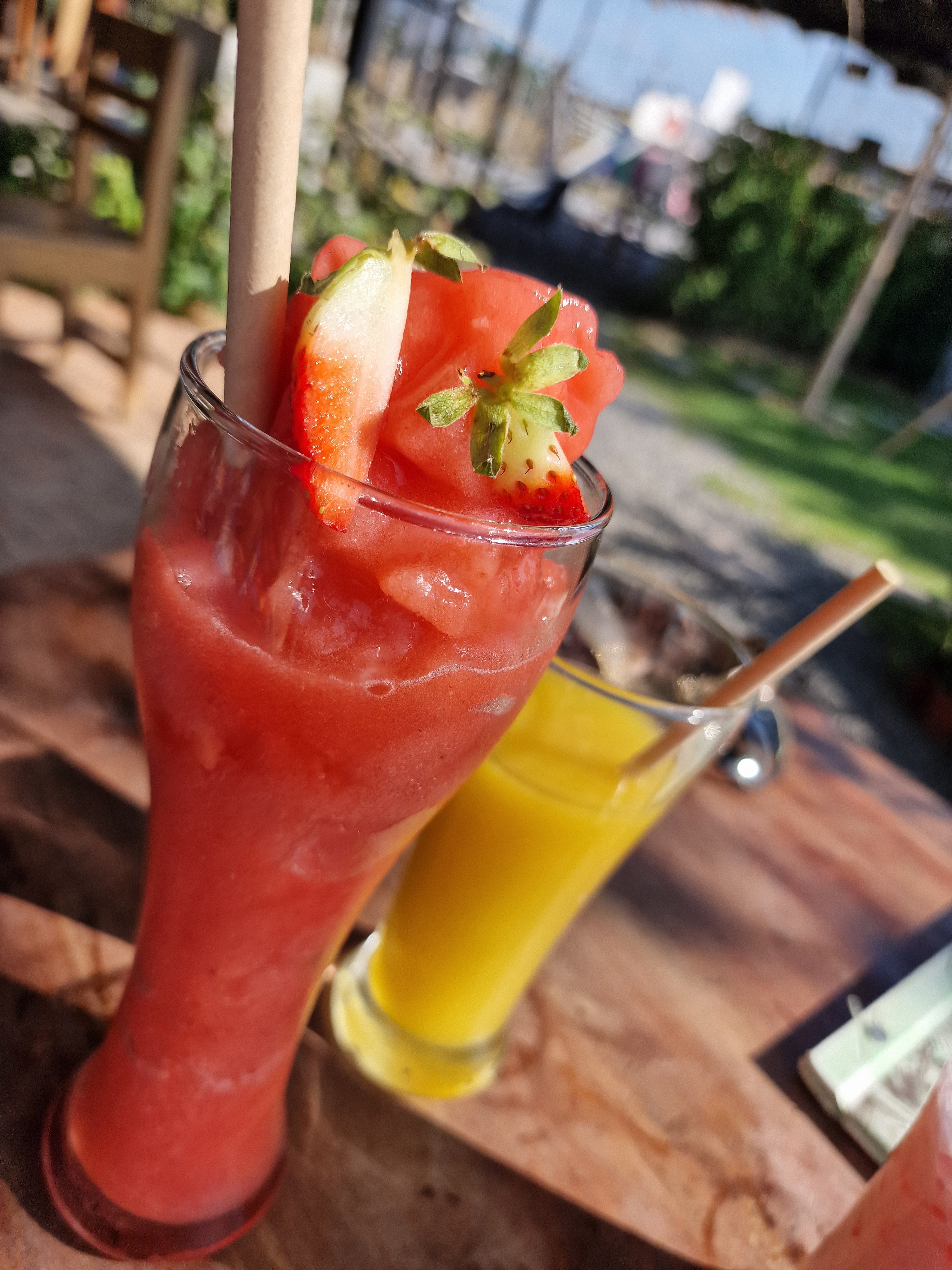 Parrotdise Organic Farm & Cafe