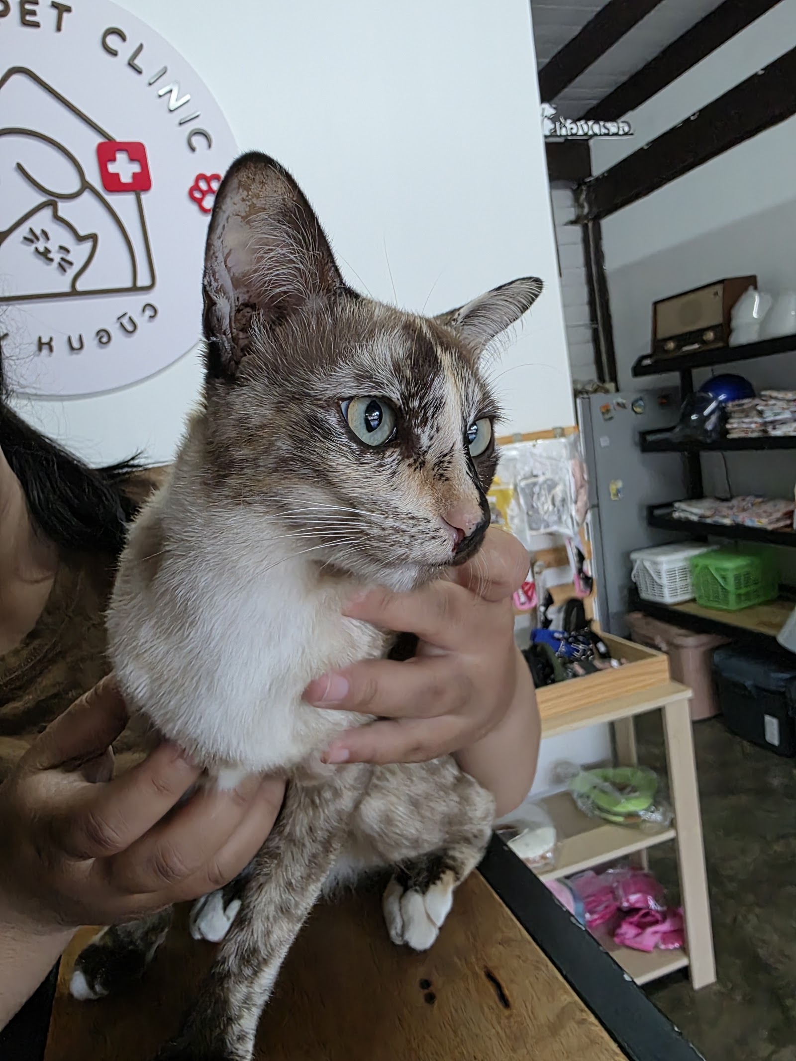 PAWPAWPET Clinic