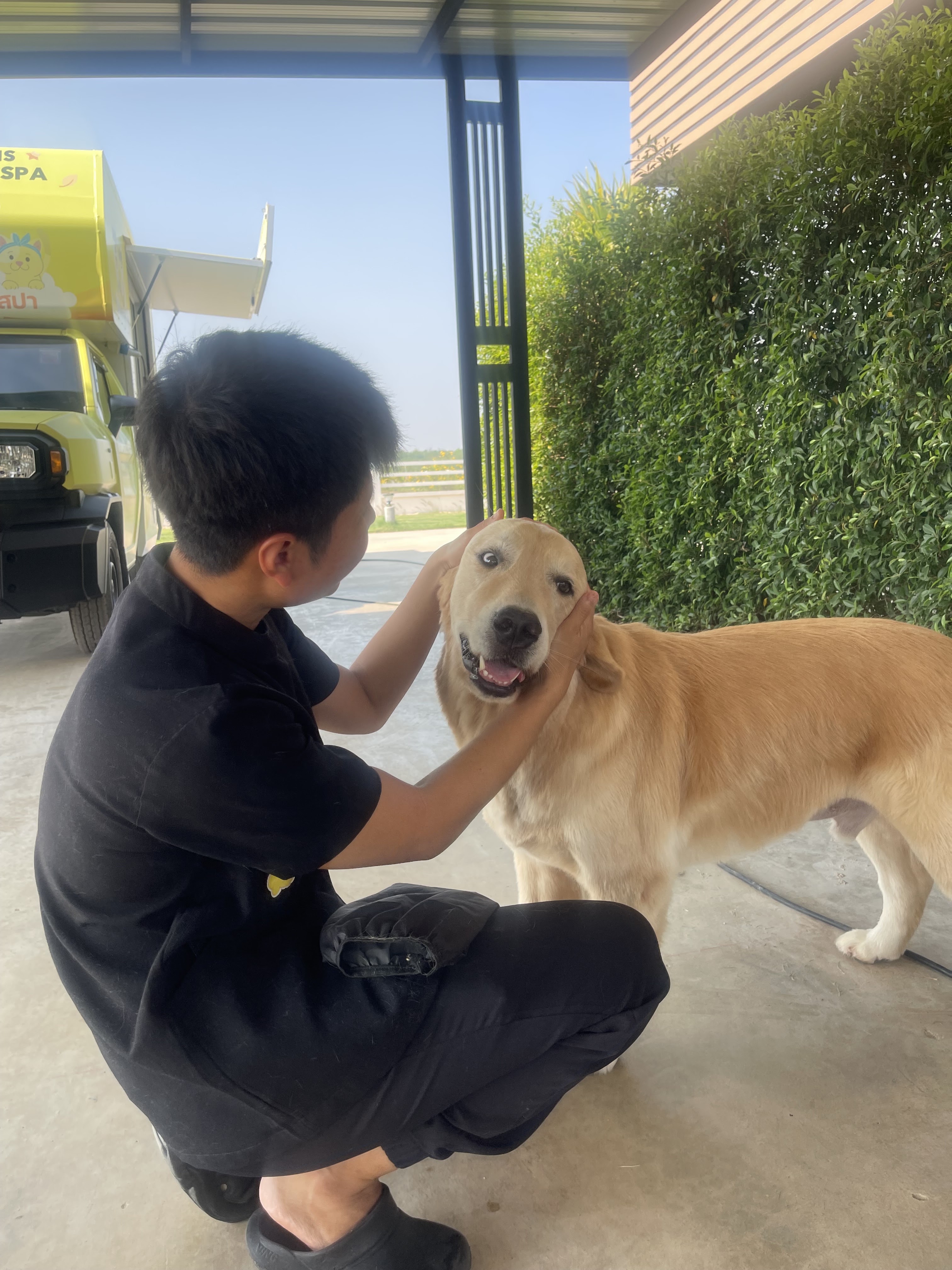 Pet Passions Mobile Grooming & Spa