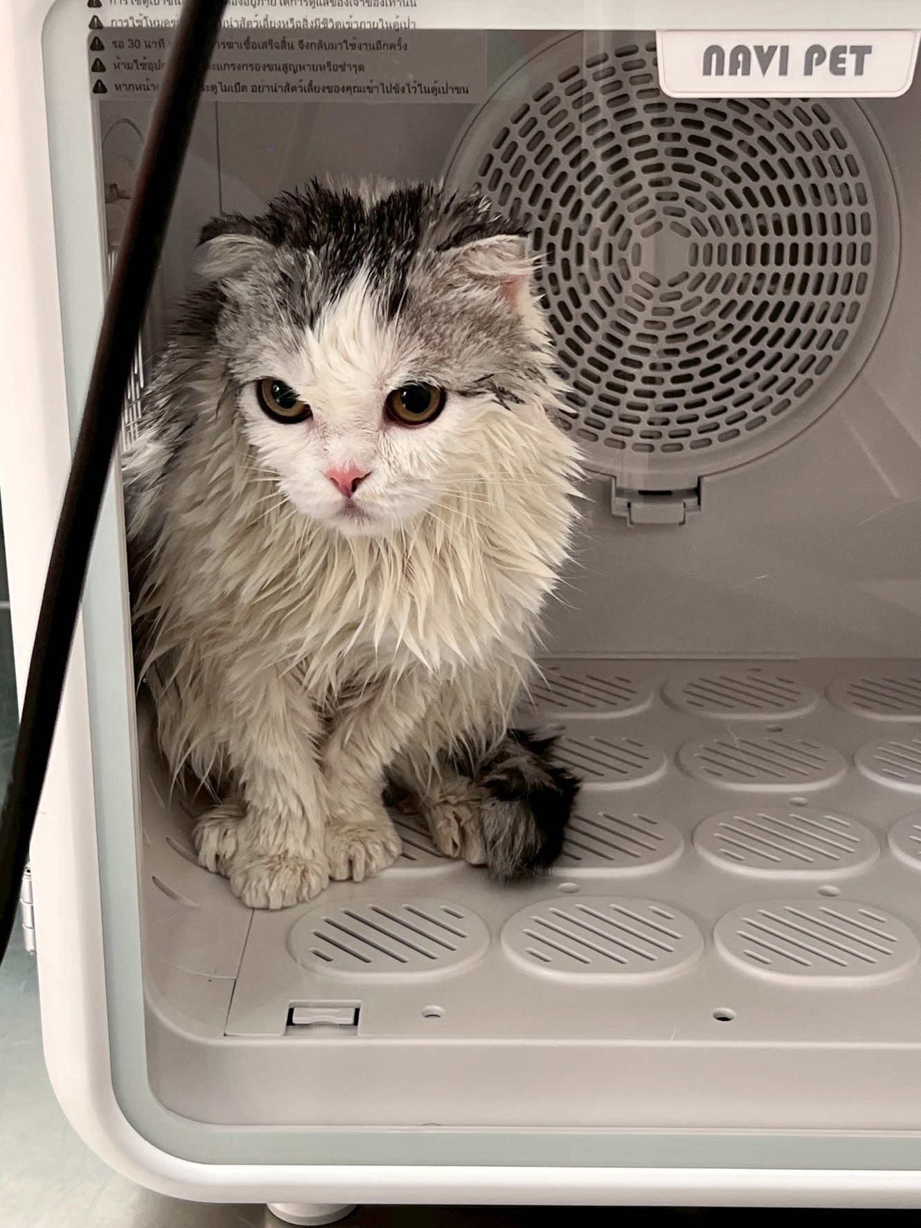 Pet Passions Mobile Grooming & Spa