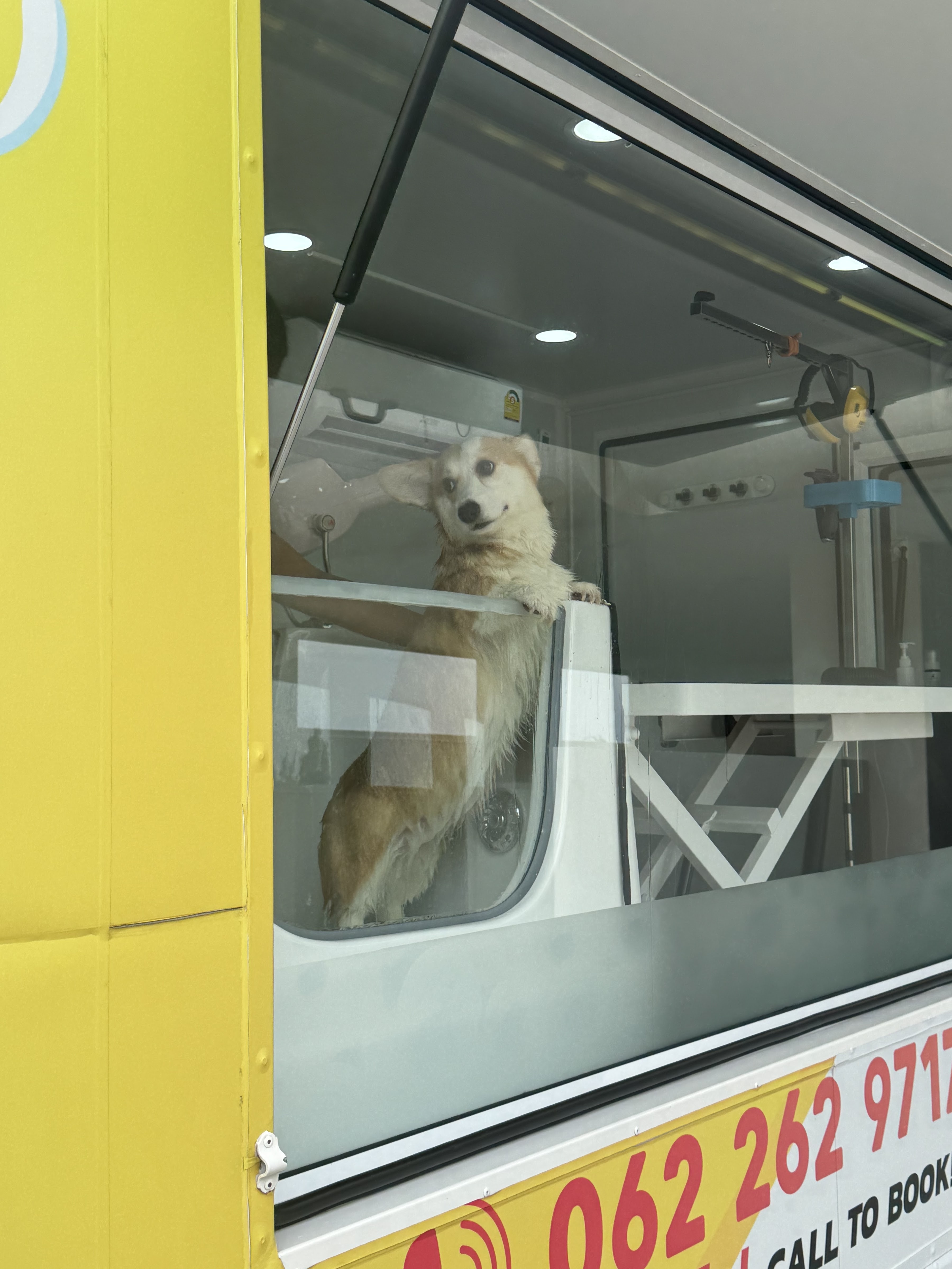 Pet Passions Mobile Grooming & Spa