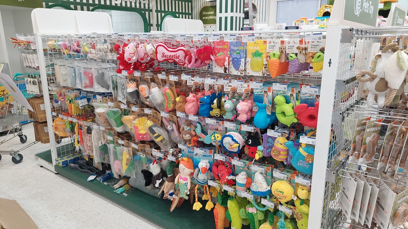 PETClub Homepro