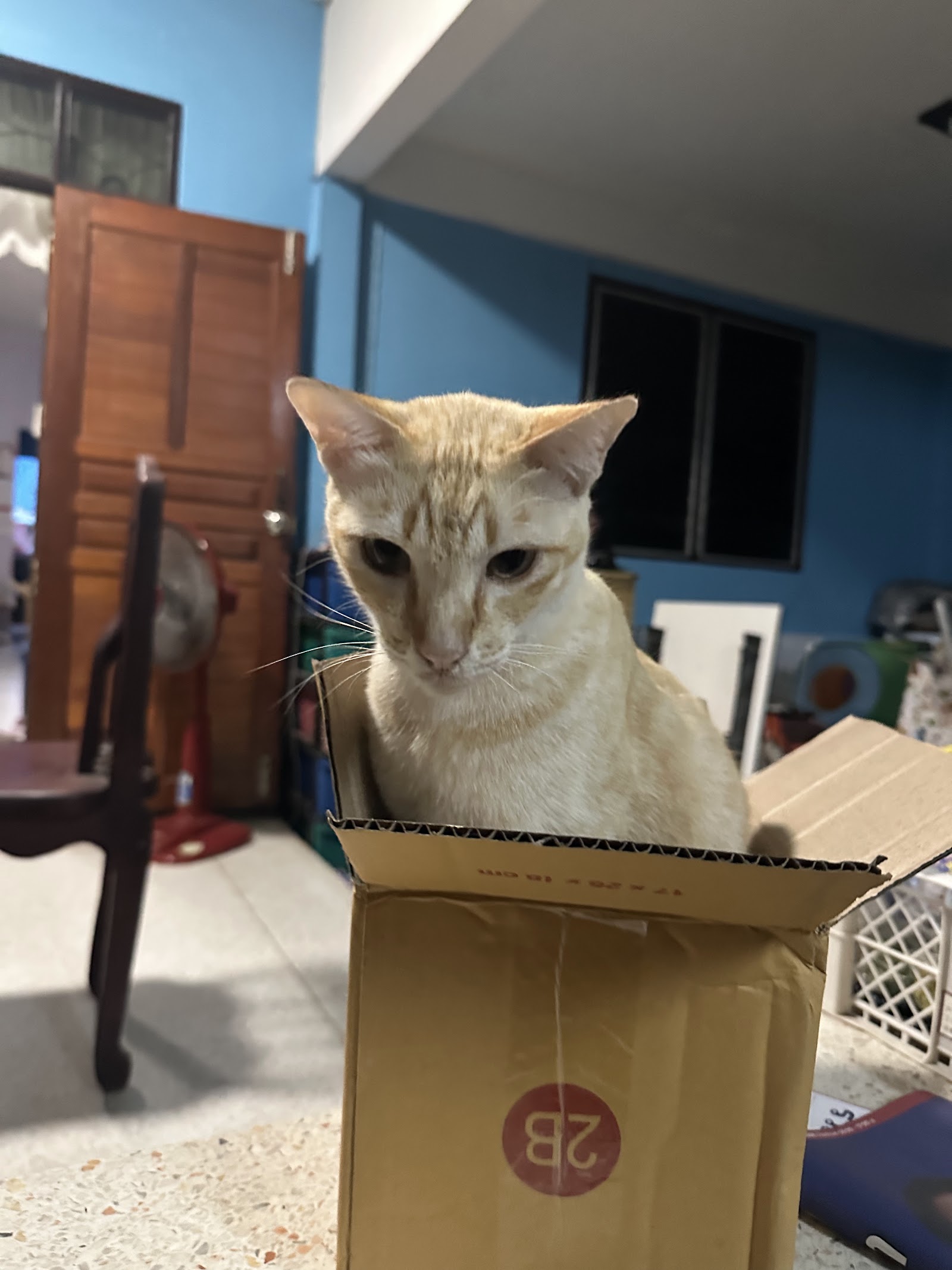 Saam Ao Pet Clinic