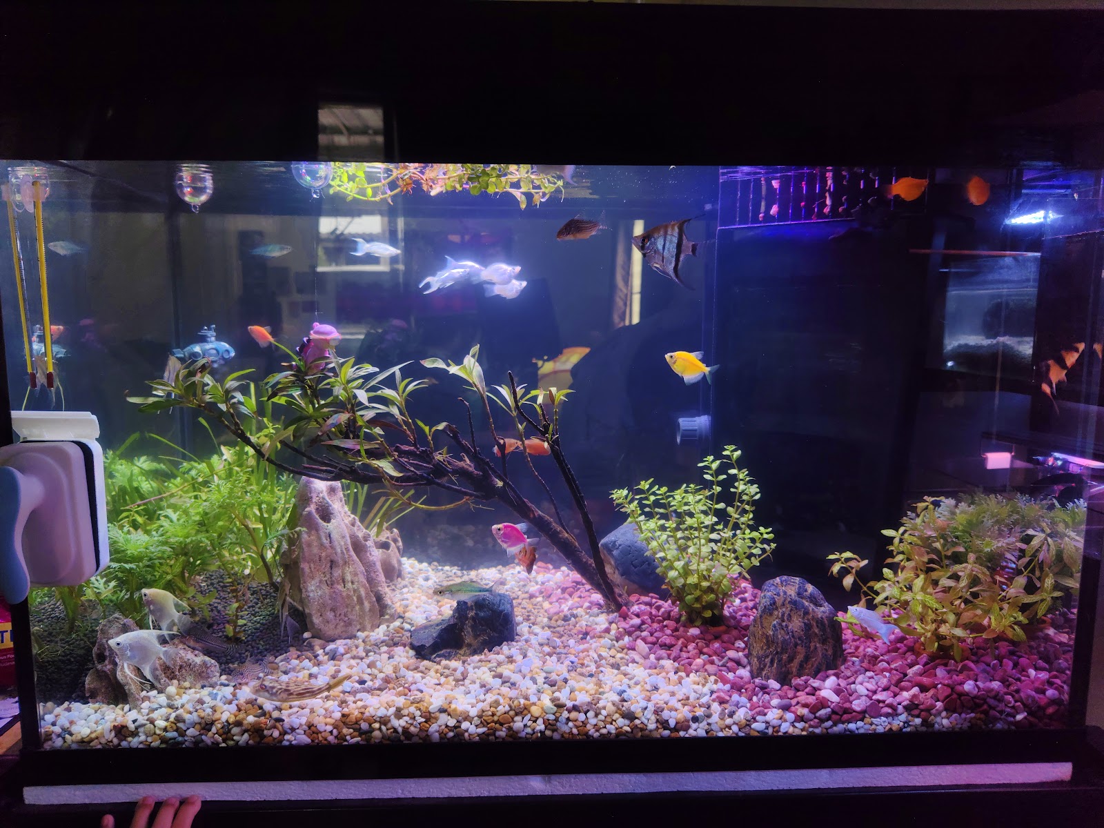 Sk Aquarium