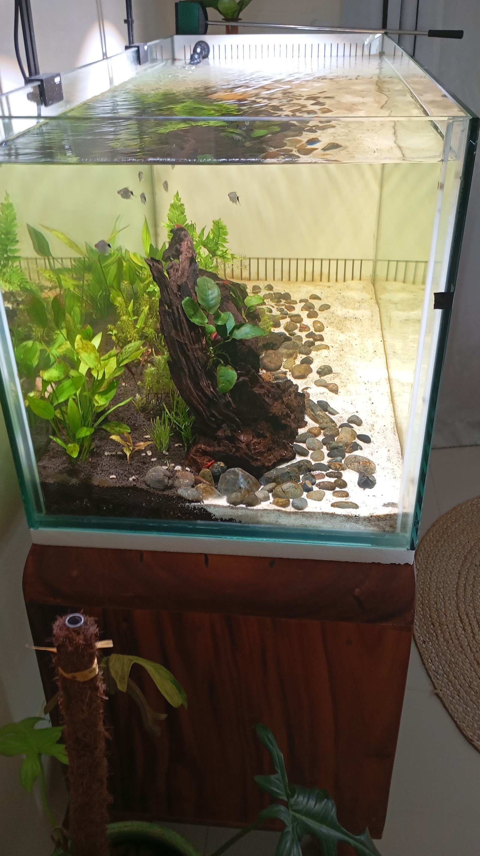 Sk Aquarium
