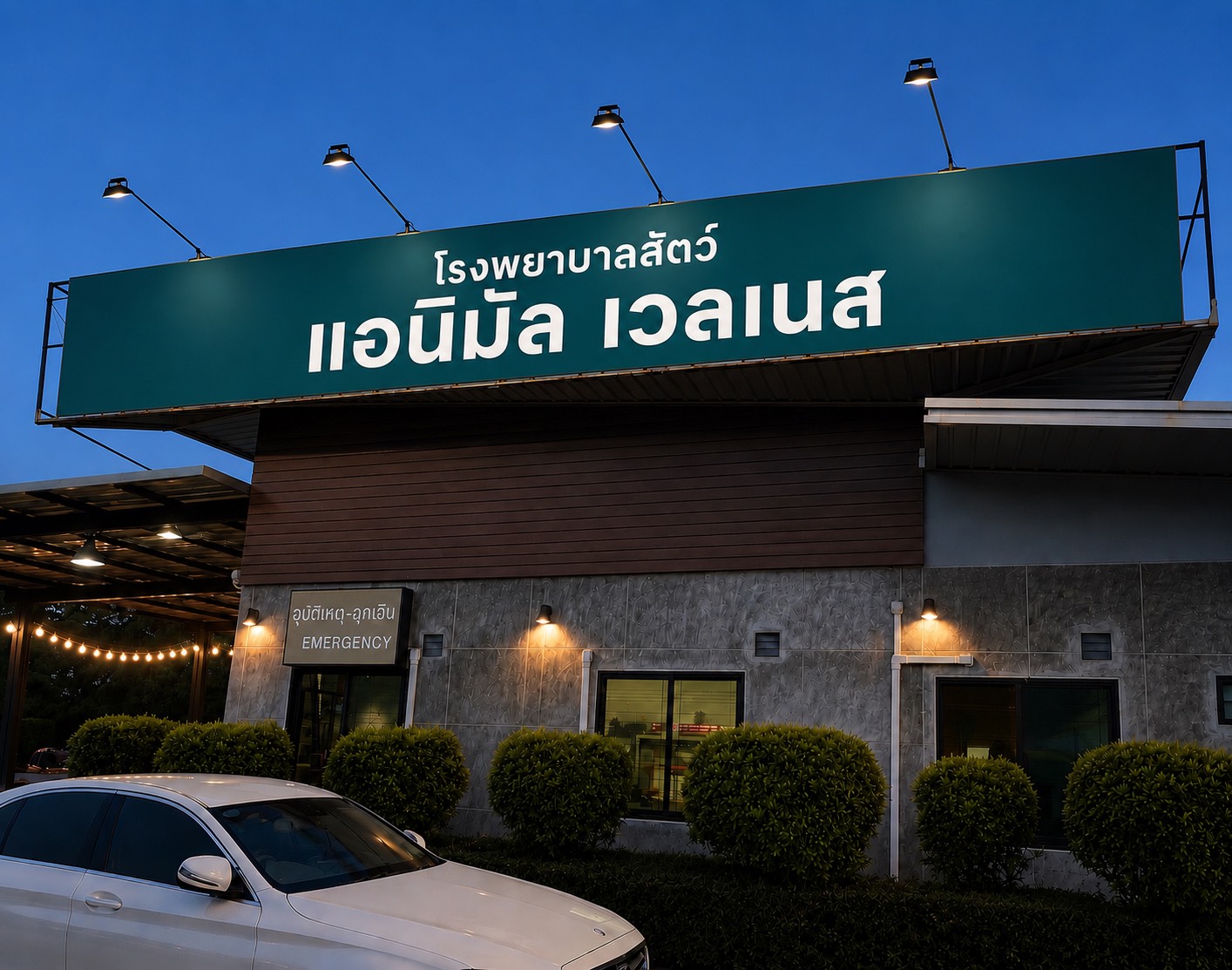 Animal Wellness Rayong Animal Hospital