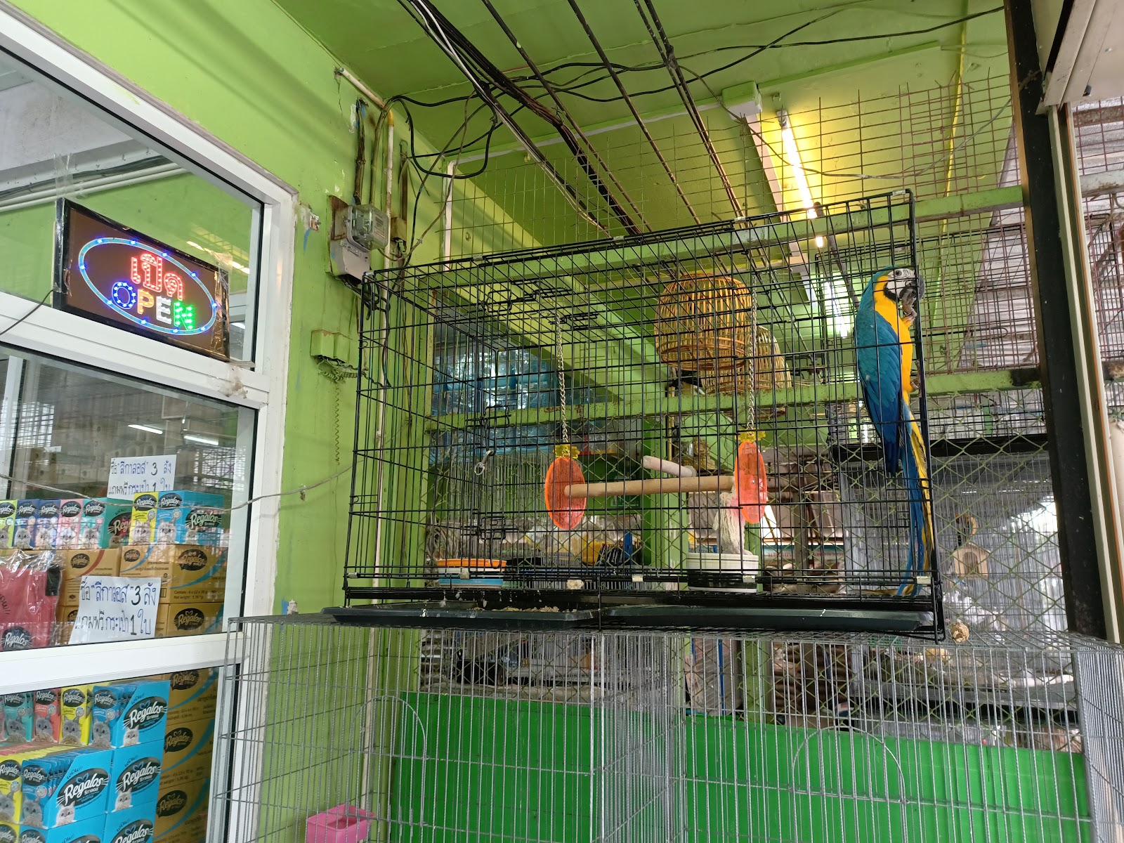 Cool Aquarium & Pet Shop