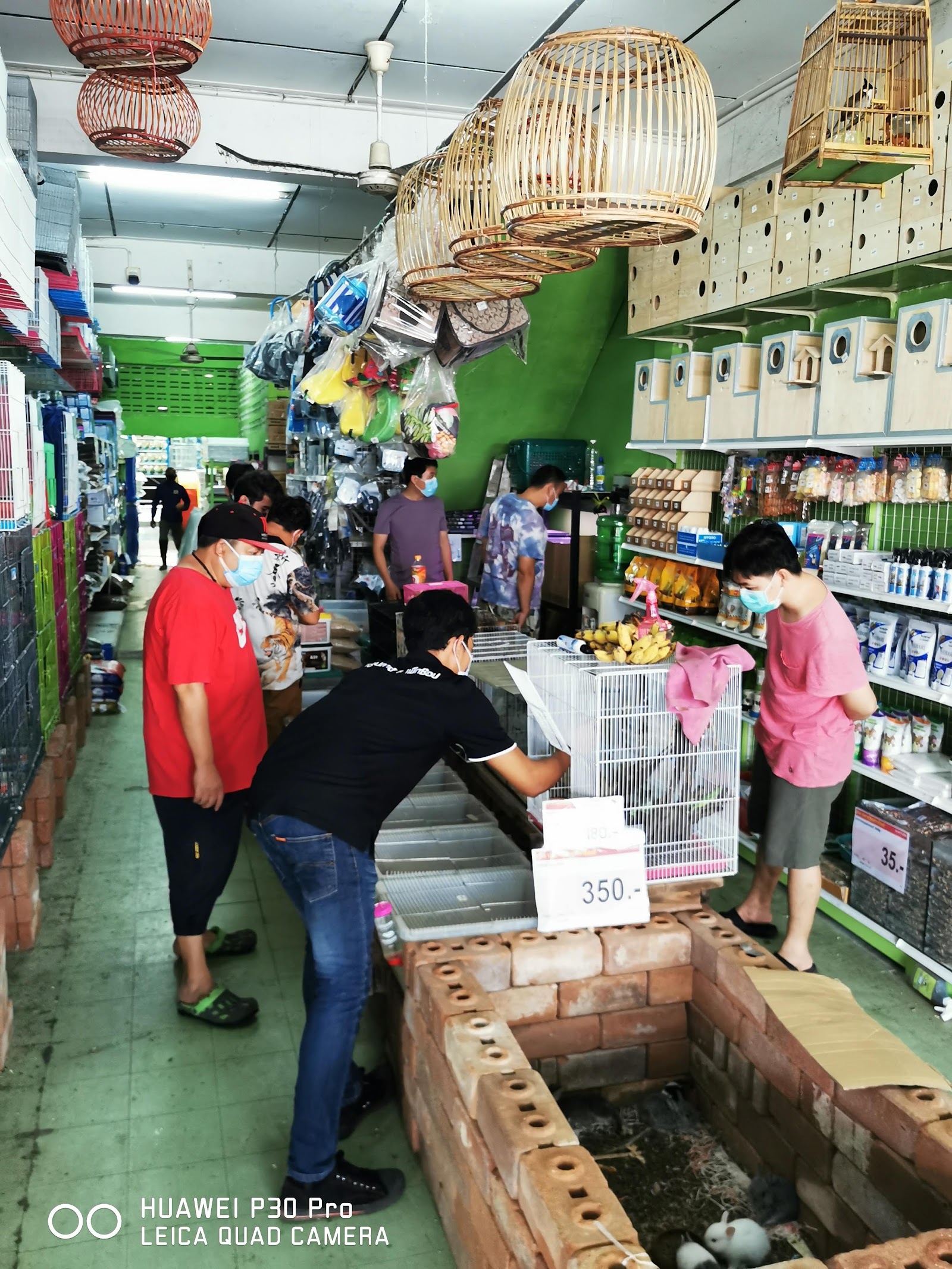 Cool Aquarium & Pet Shop