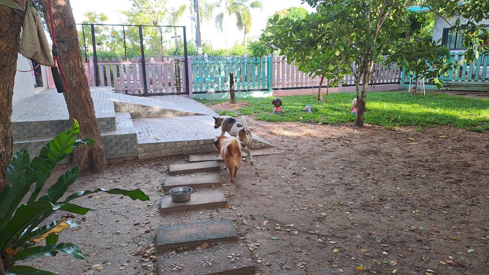 D-Dog house & pool rayong
