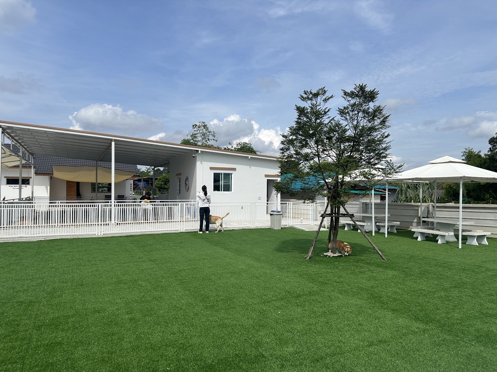 Fluffy Space - Dog pool and playground
