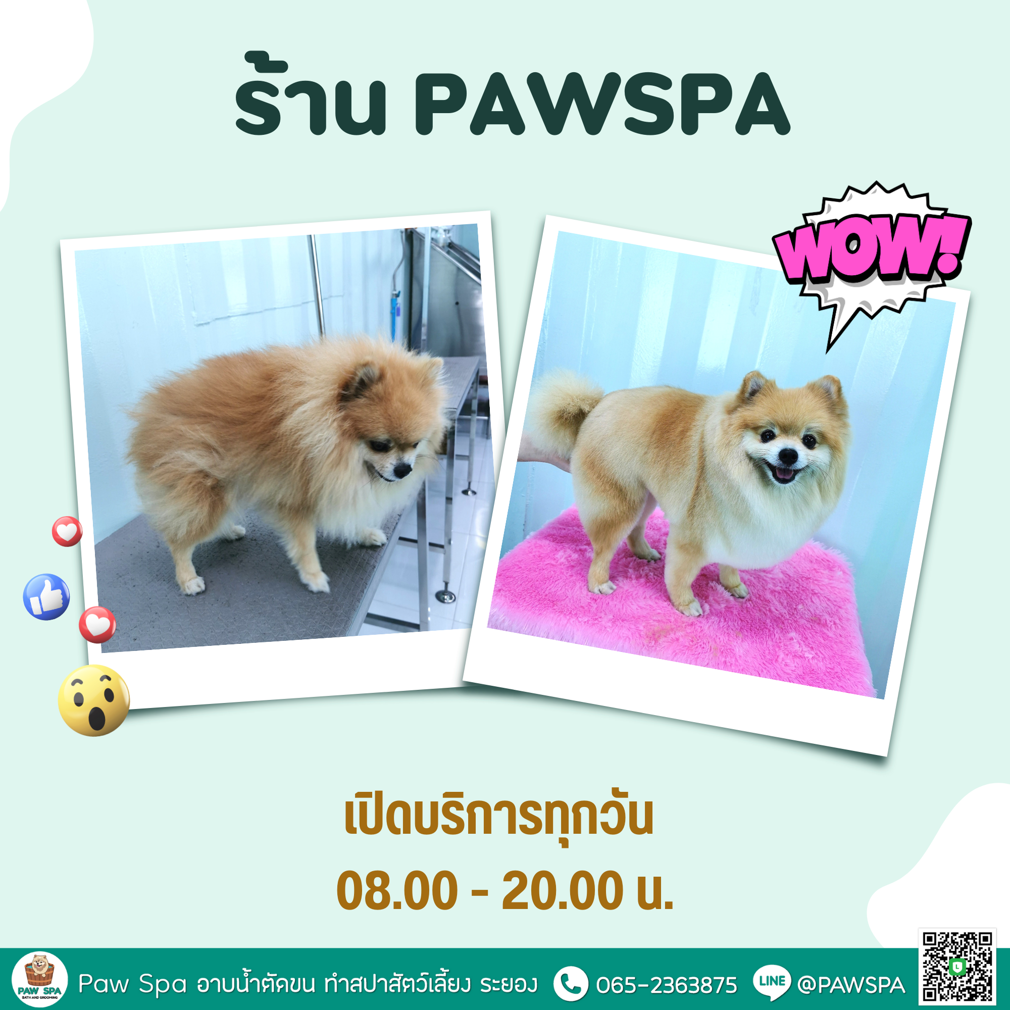 Paw Spa
