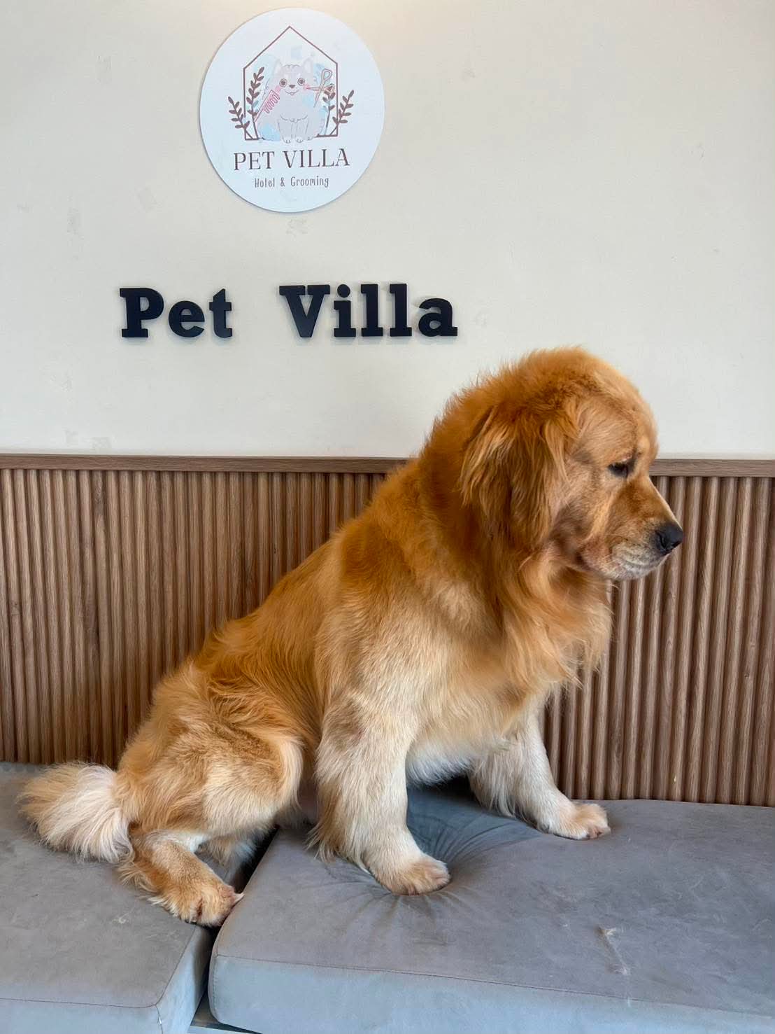 Pet Villa Rayong