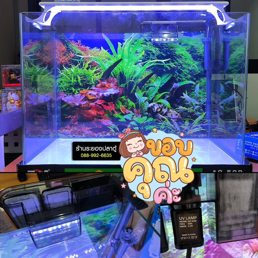 Rayong Pet Mart Fish Tank