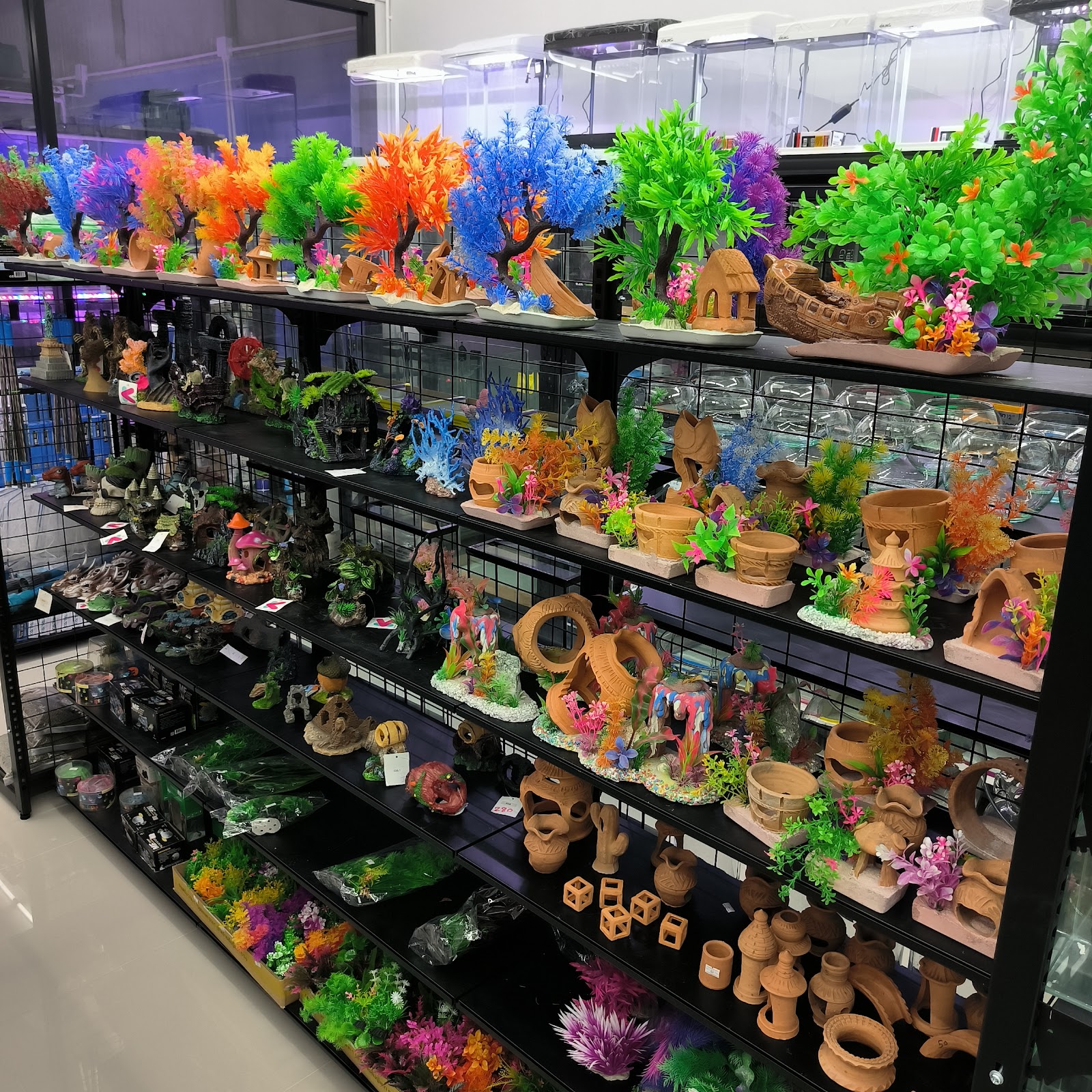 Rayong Pet Mart Fish Tank