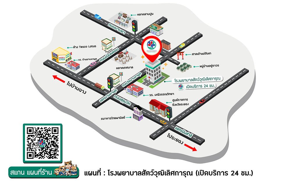 Wuttilertkarun Animal Hospital
