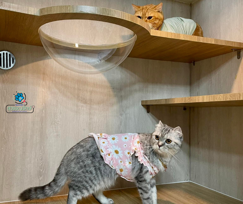 Suwannarak Animal Hospital