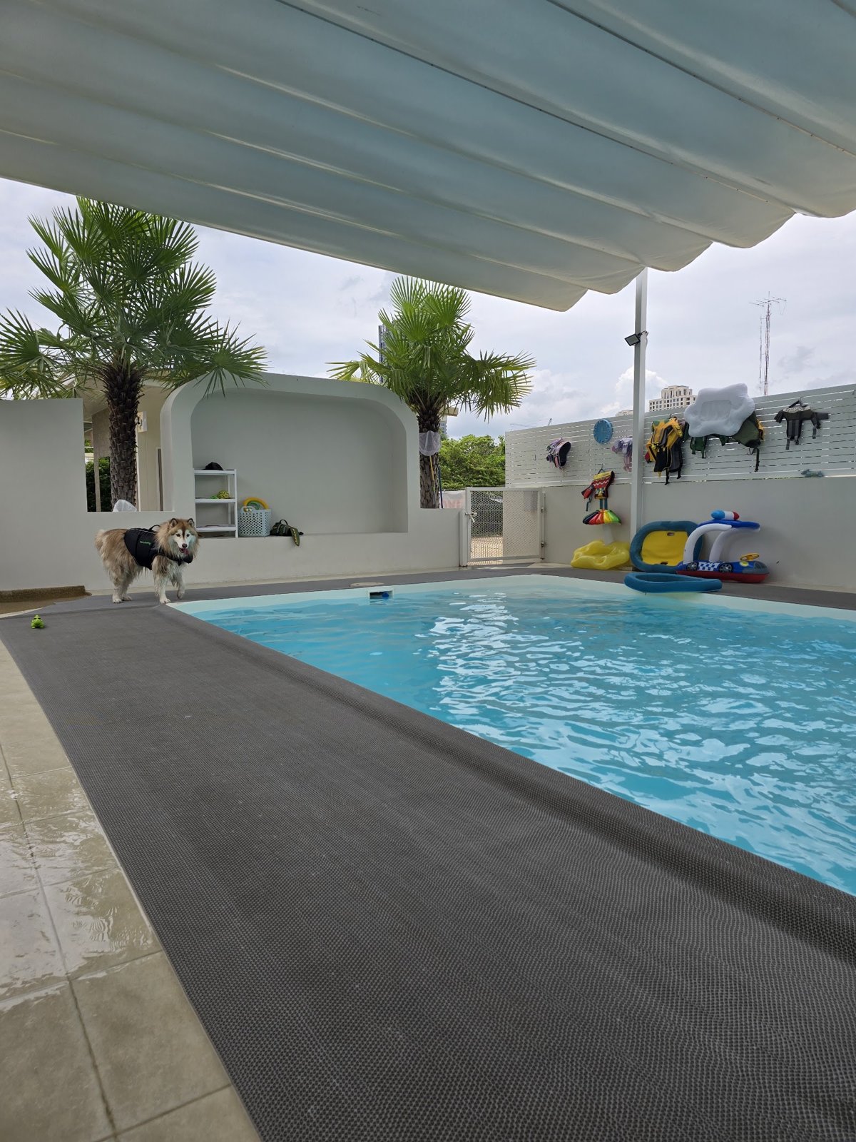 BARK BAY