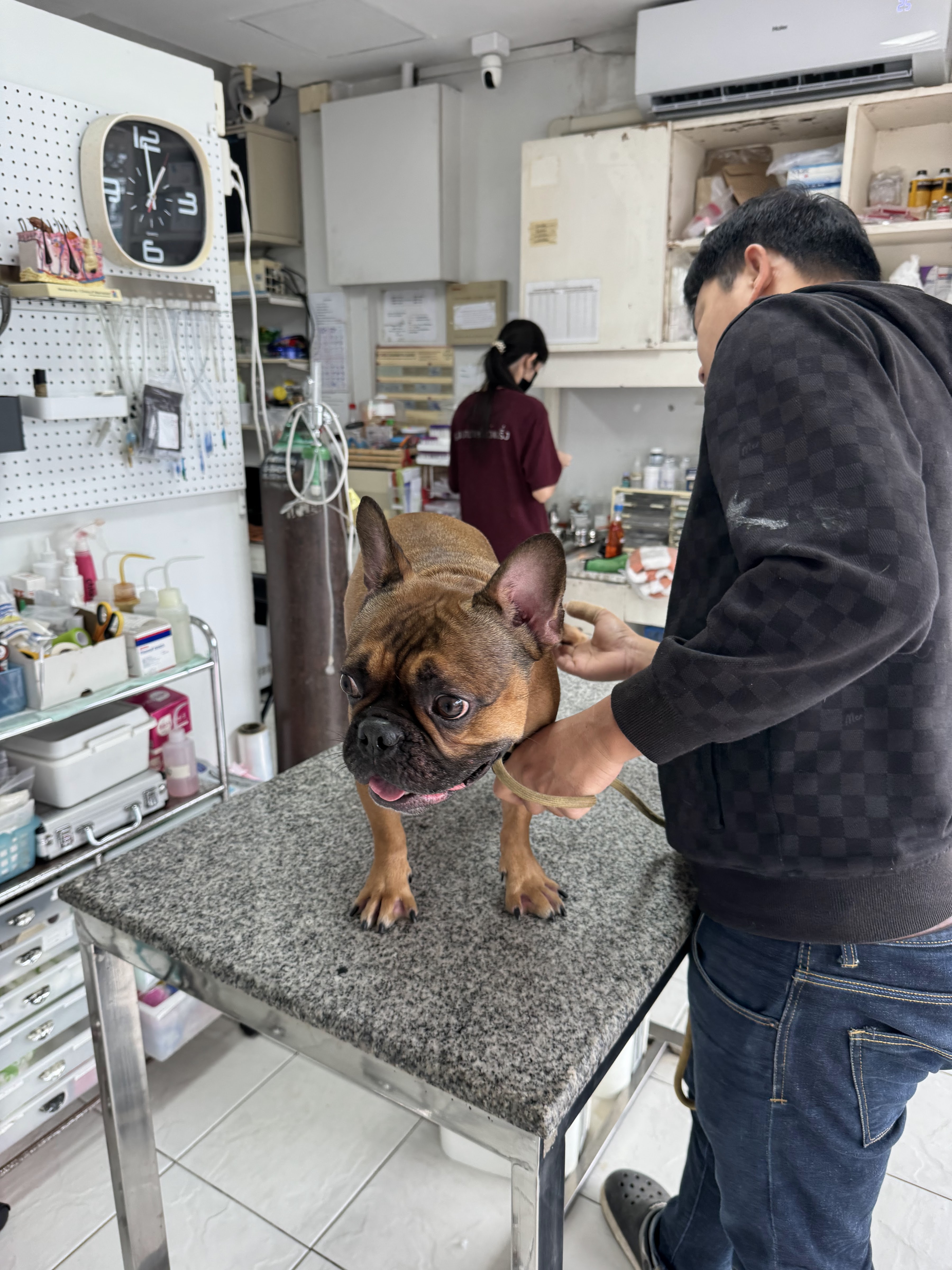 Bearing Pet Hospital