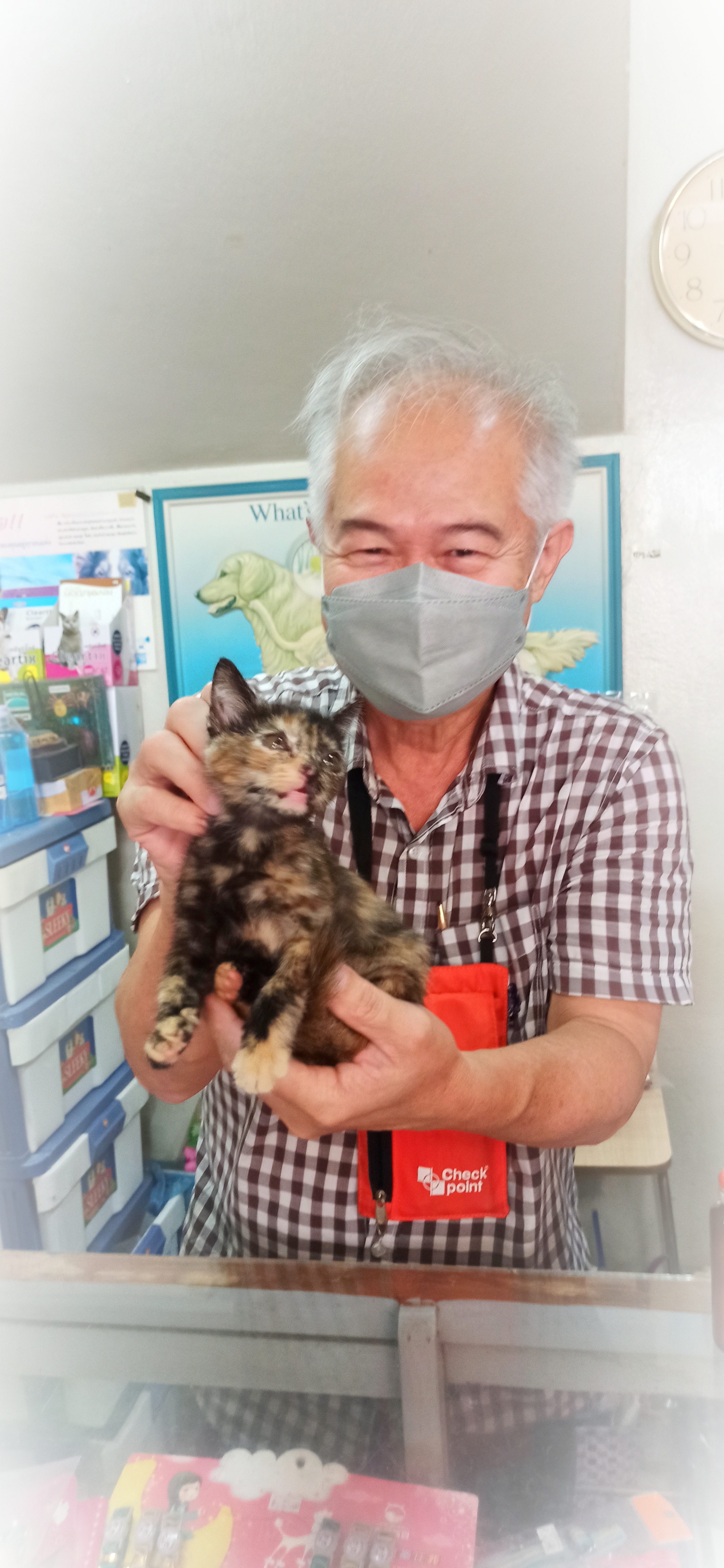 Bearing Veterinary Clinic