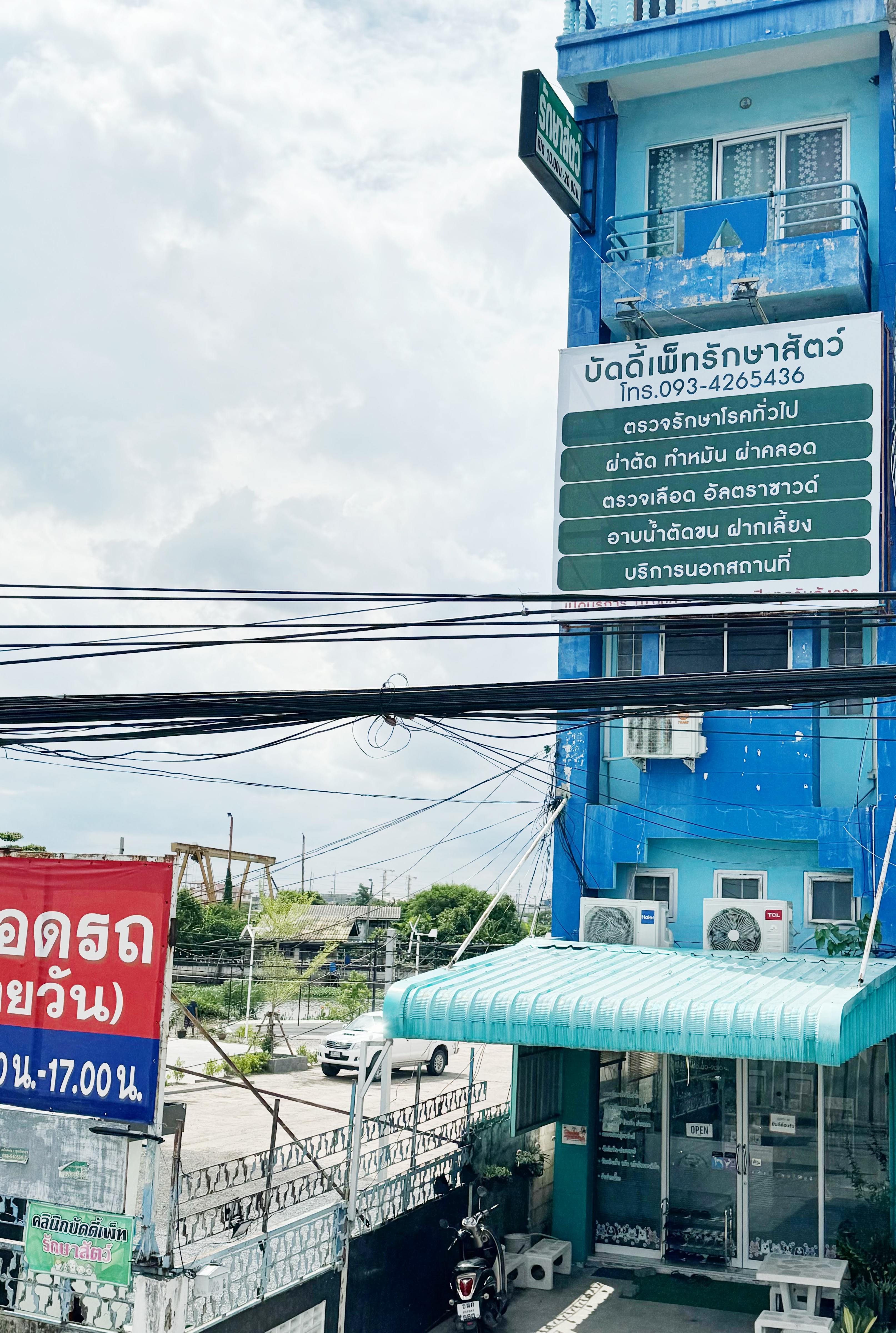 buddy pet clinic