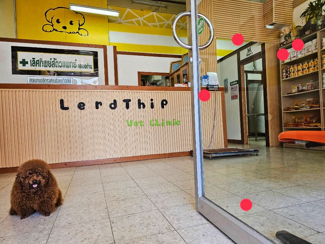 Lerthip Klong Dan Veterinarian